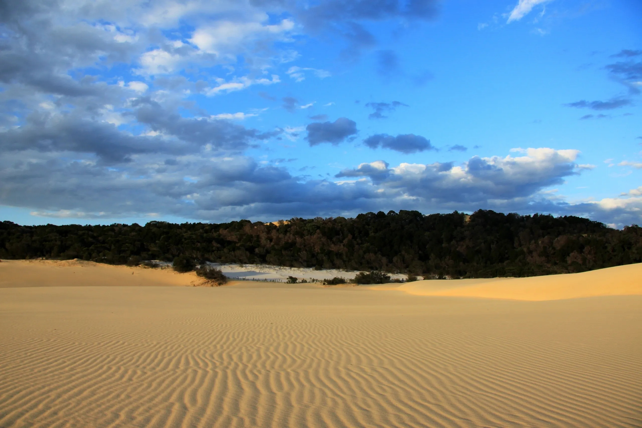 Fraser Island, Travels, Australia, 2560x1710 HD Desktop