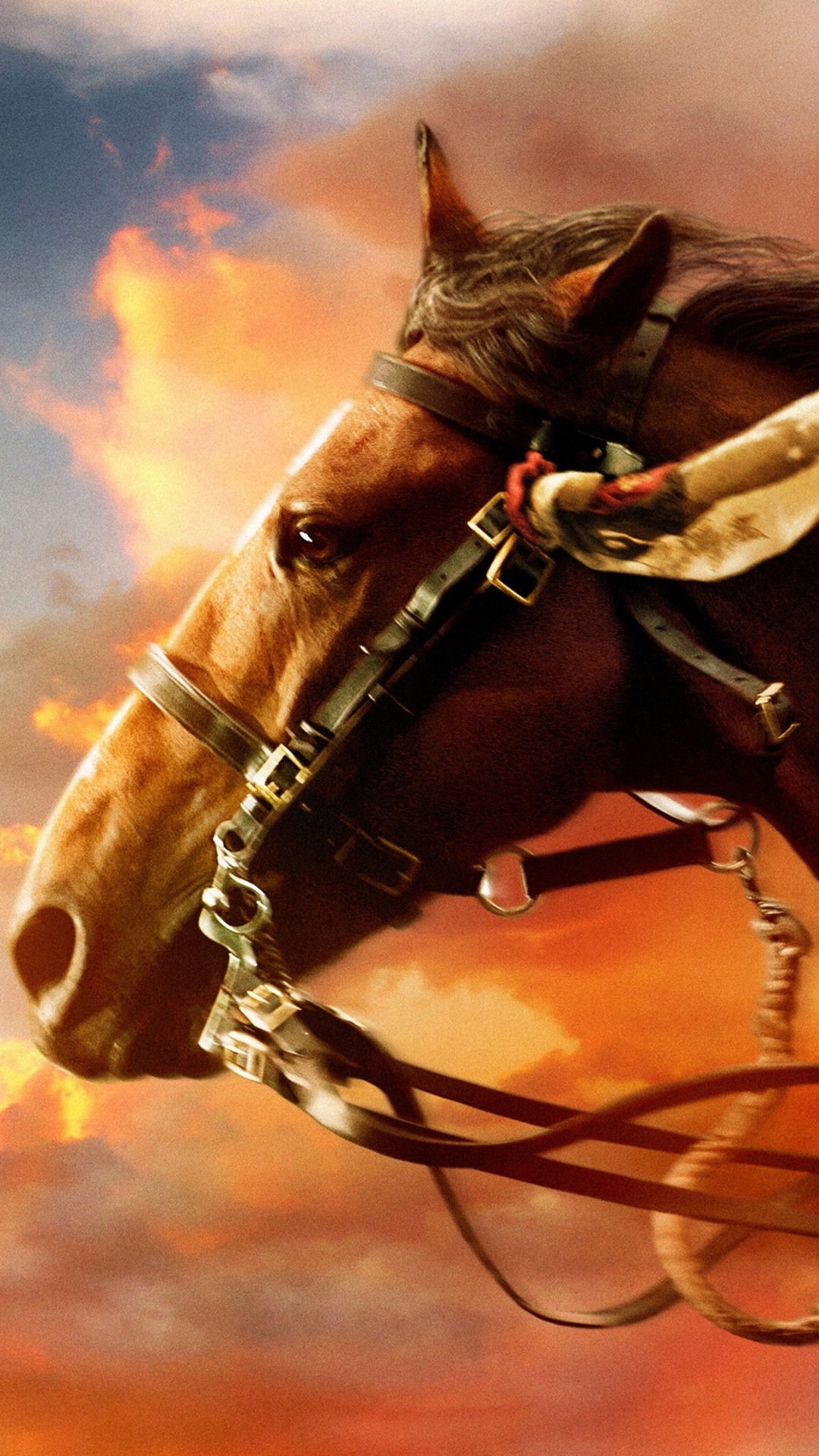 War Horse: Animal, Joey, Colt, Movie character. 1080x1920 Full HD Background.