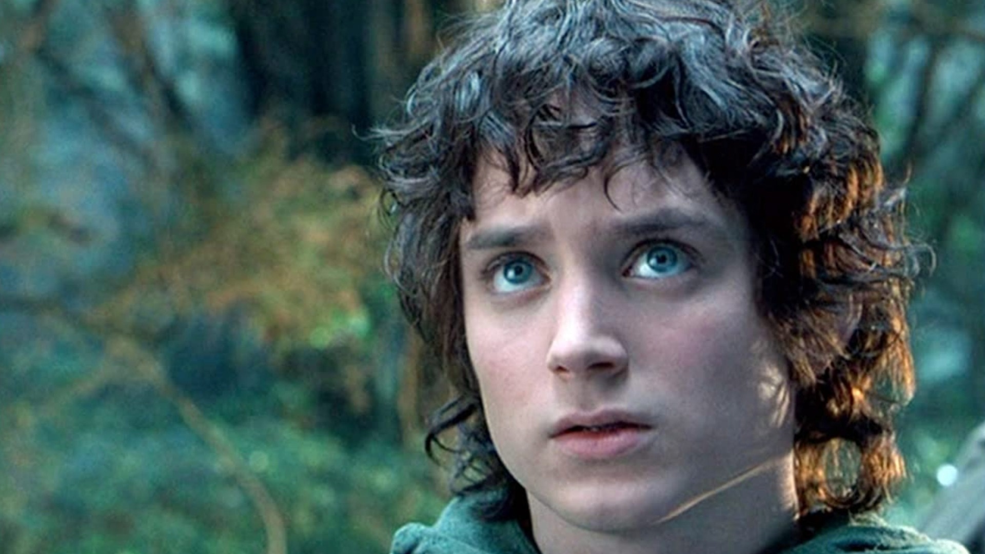 Elijah Wood, Lord Of The Rings, Made Today, Different, 1920x1080 Full HD Desktop