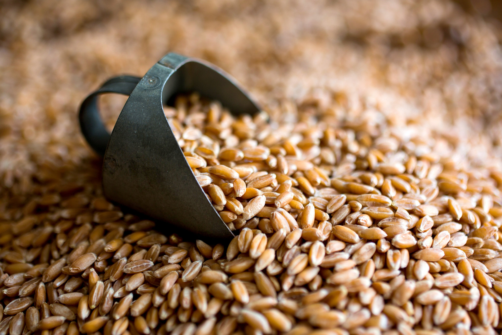 New ancient grains, Beyond quinoa, Healthy eating, Grains, 2050x1370 HD Desktop