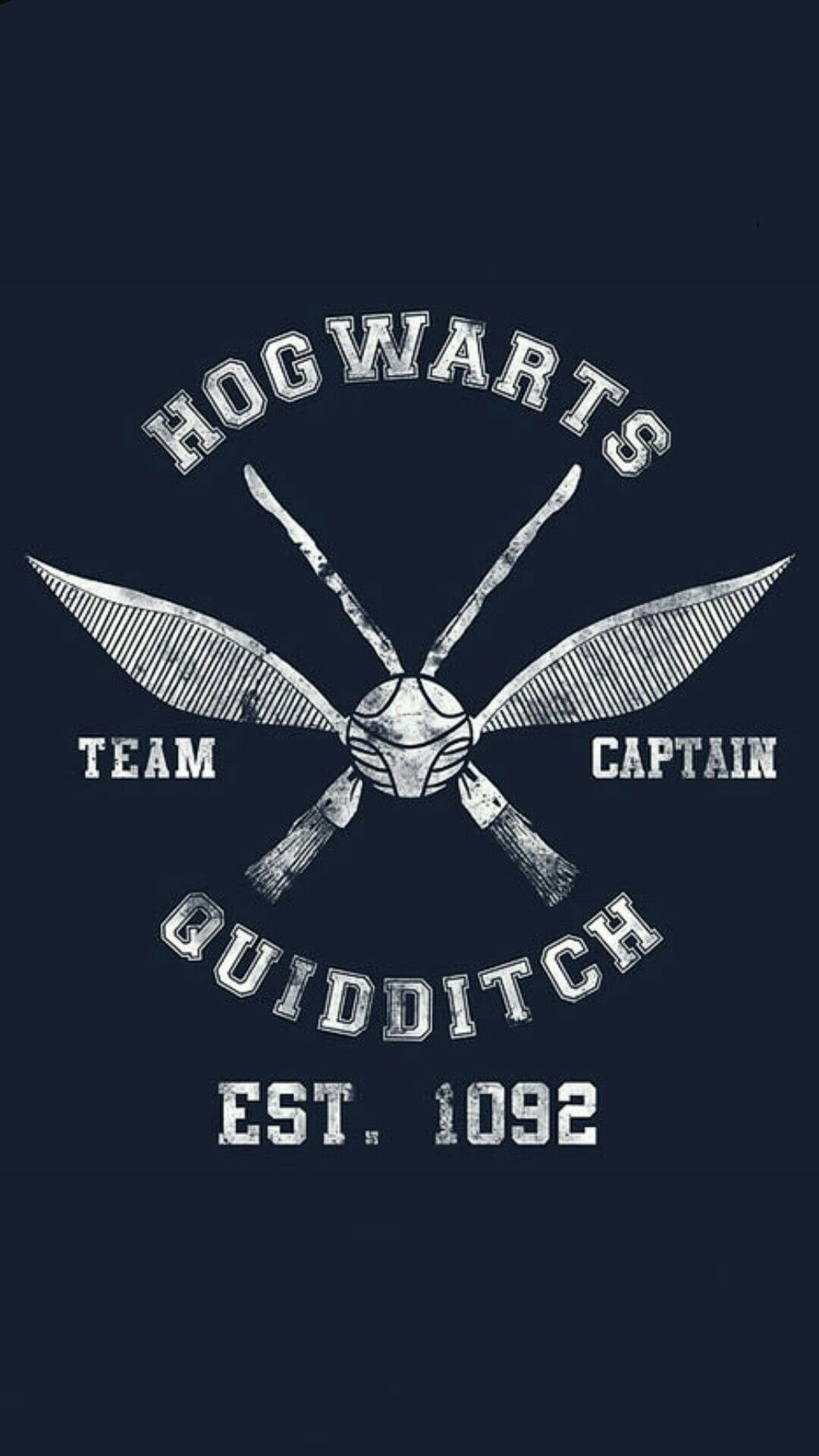 Quidditch, Magical sport, Harry Potter, Fan ideas, 1080x1920 Full HD Phone