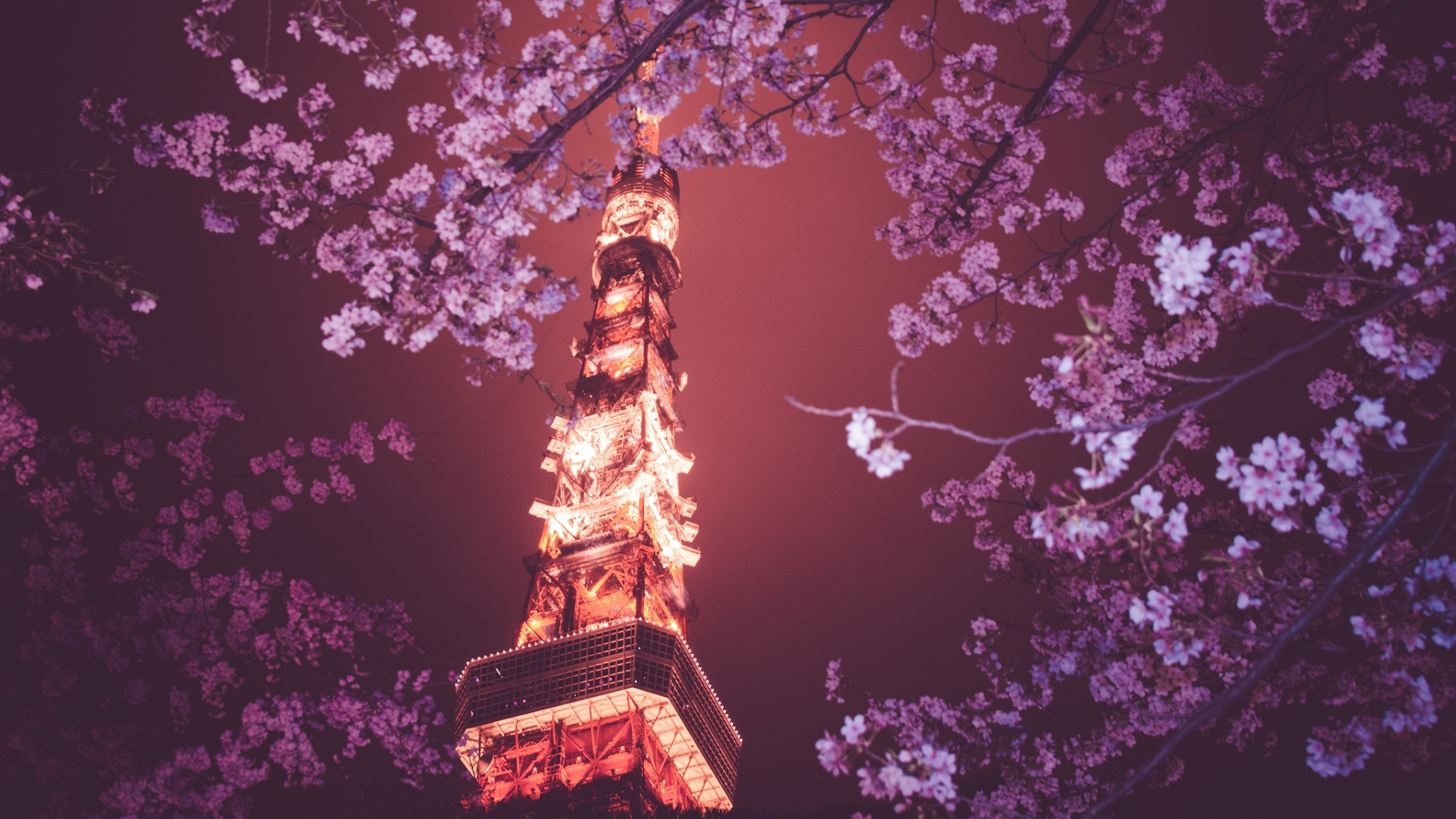 Tokyo Tower, Sakura blossom, Cherry lights, UHD TV wallpaper, 3840x2160 4K Desktop