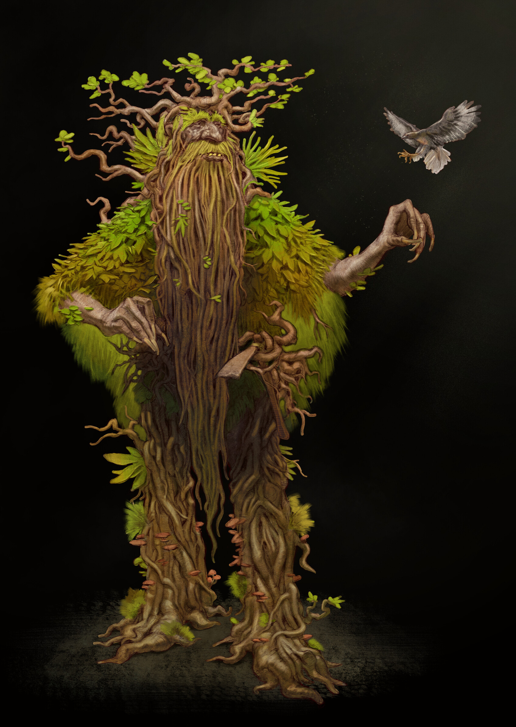 Treebeard: Fangorn, An ancient shepherd of the forest, The Lord of the Rings. 1700x2390 HD Background.