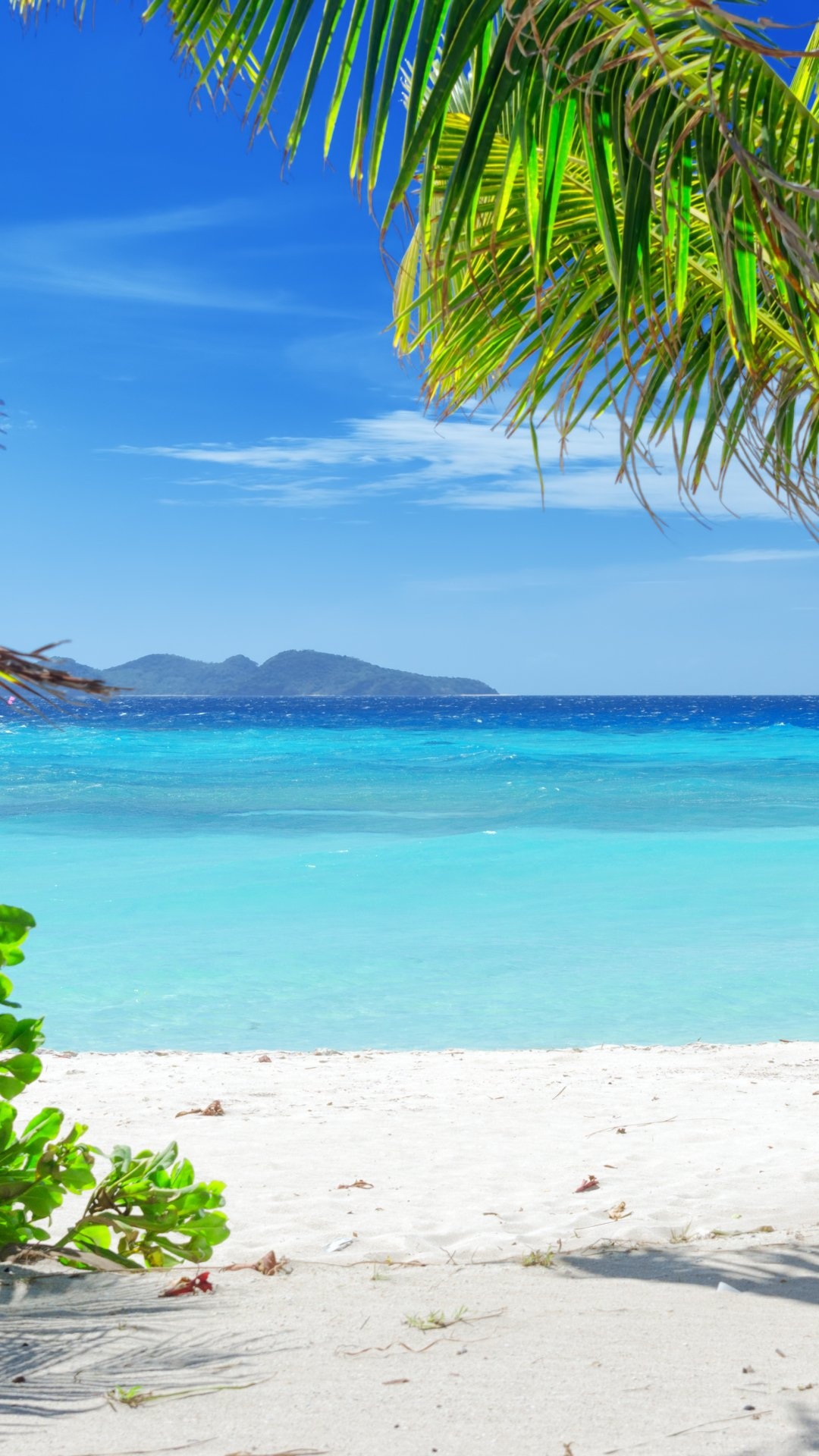 Earth beach, Grenada, Travels expert, Caribbean, 1080x1920 Full HD Phone