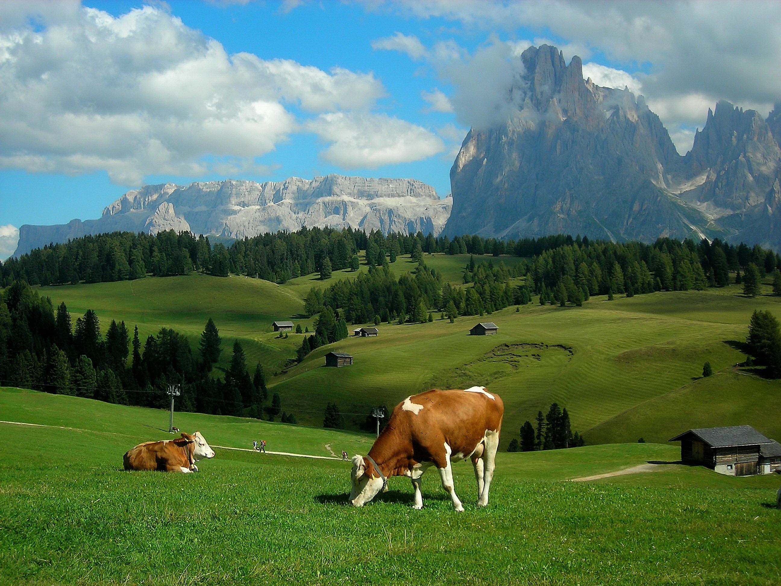 Cow farm, Top backgrounds, Farm scenery, Animal farm, 2600x1950 HD Desktop