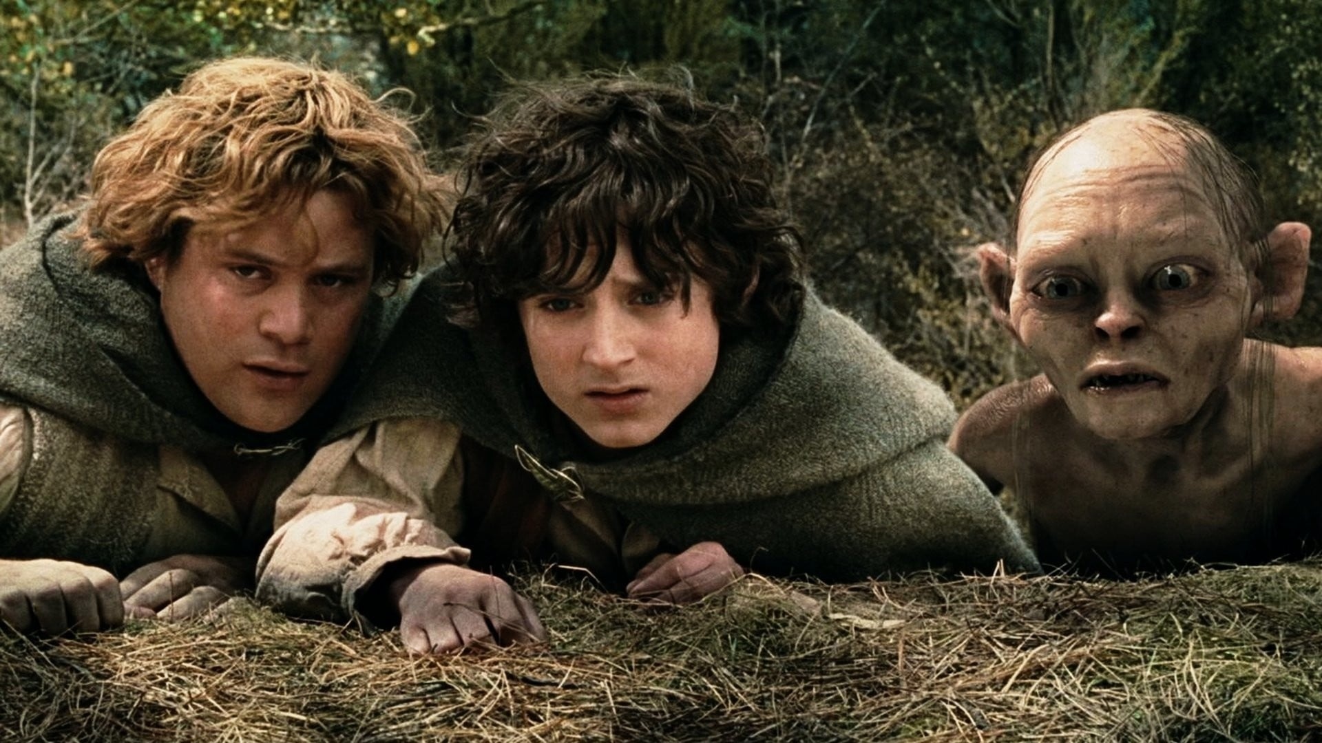 Hobbits, The Two Towers, Backdrops, Atmospheric scenery, 1920x1080 Full HD Desktop