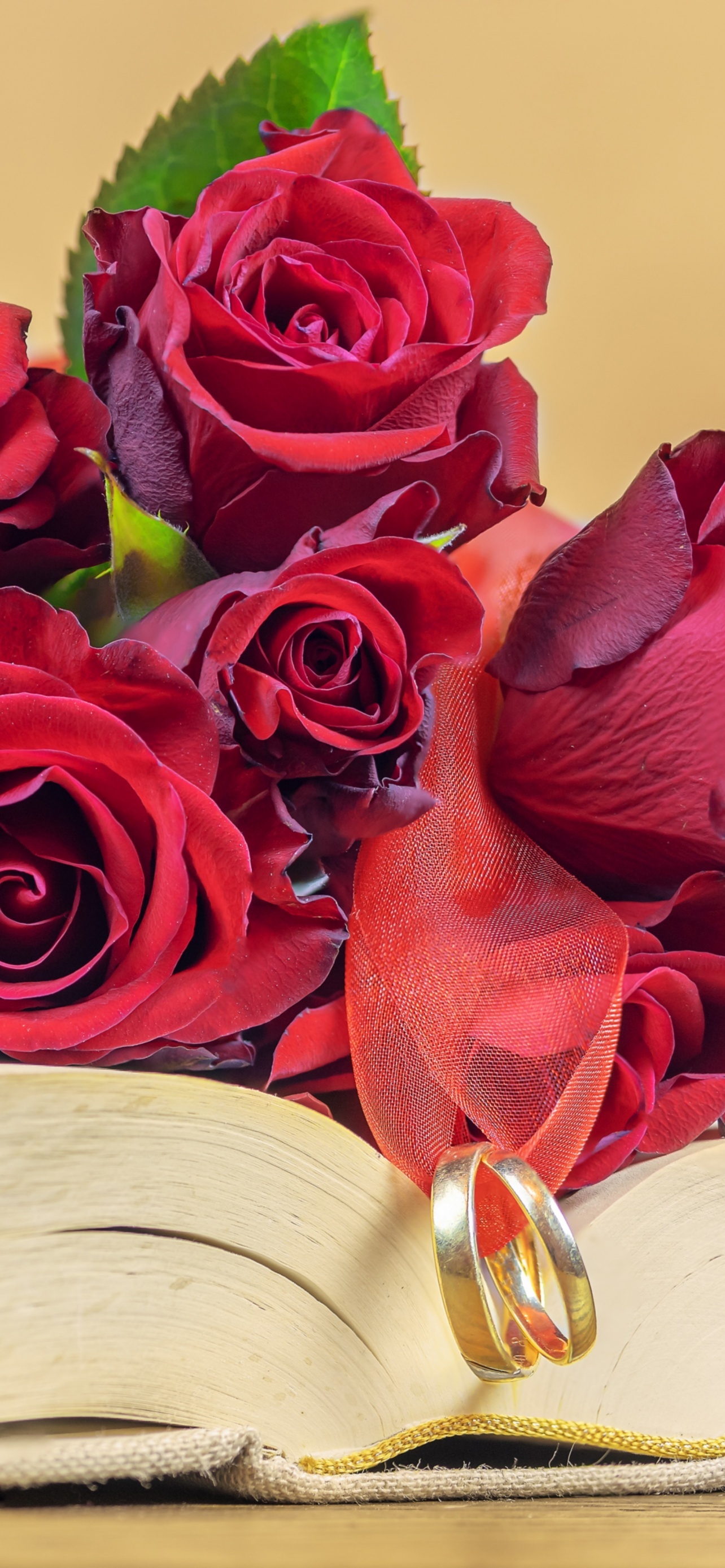 Romantic red roses, Wedding ring symbolism, Valentine's Day gift idea, Floral beauty, 1290x2780 HD Phone