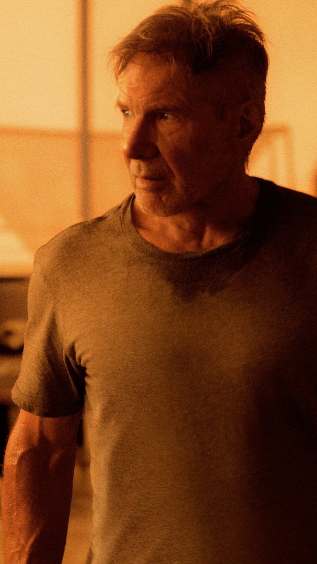 Blade Runner 2049, Harrison Ford, Movies, 14118, 1080x1920 Full HD Handy