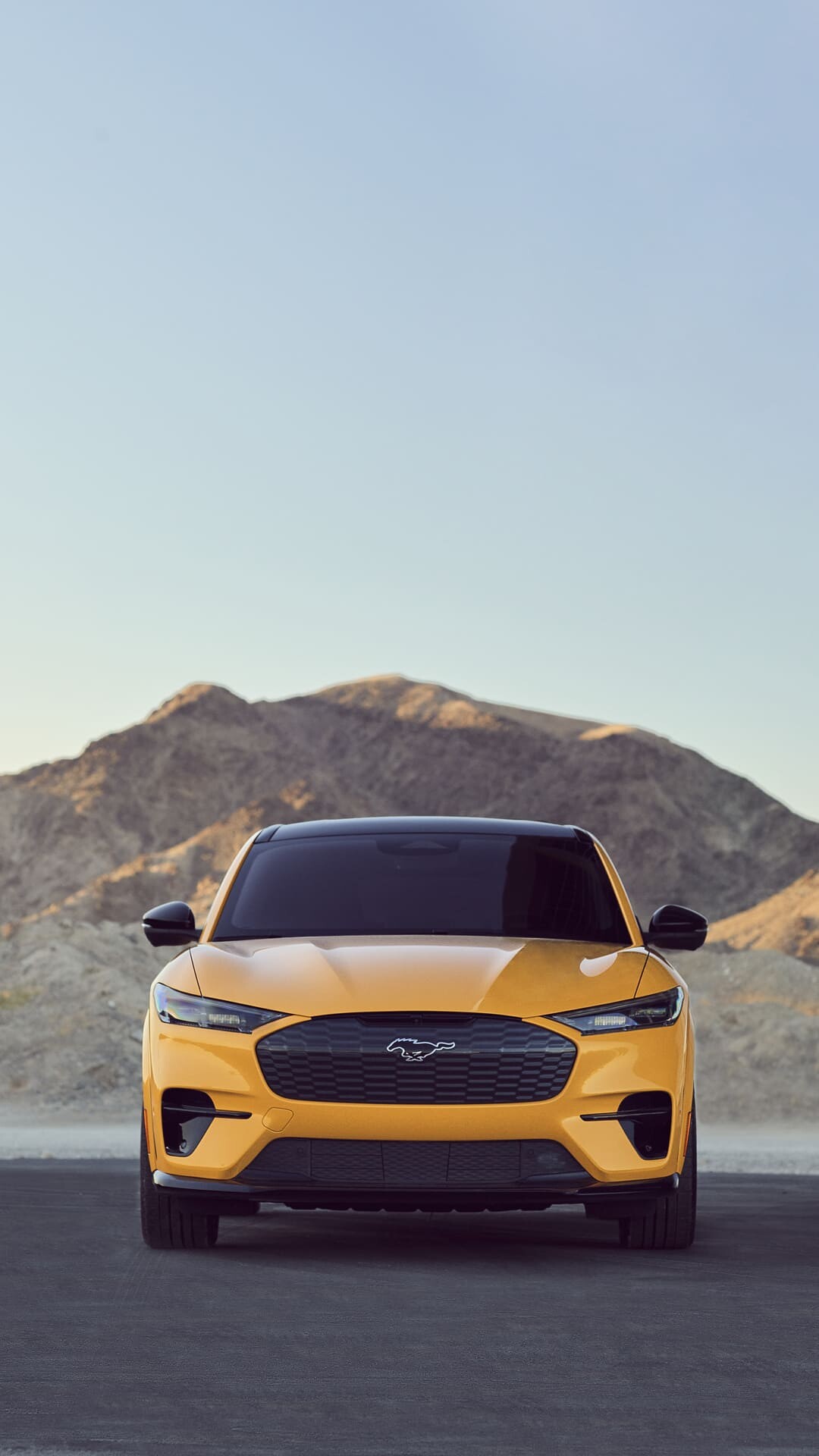 Ford: An American auto manufacturer, The second-largest family owned company in the world. 1080x1920 Full HD Background.