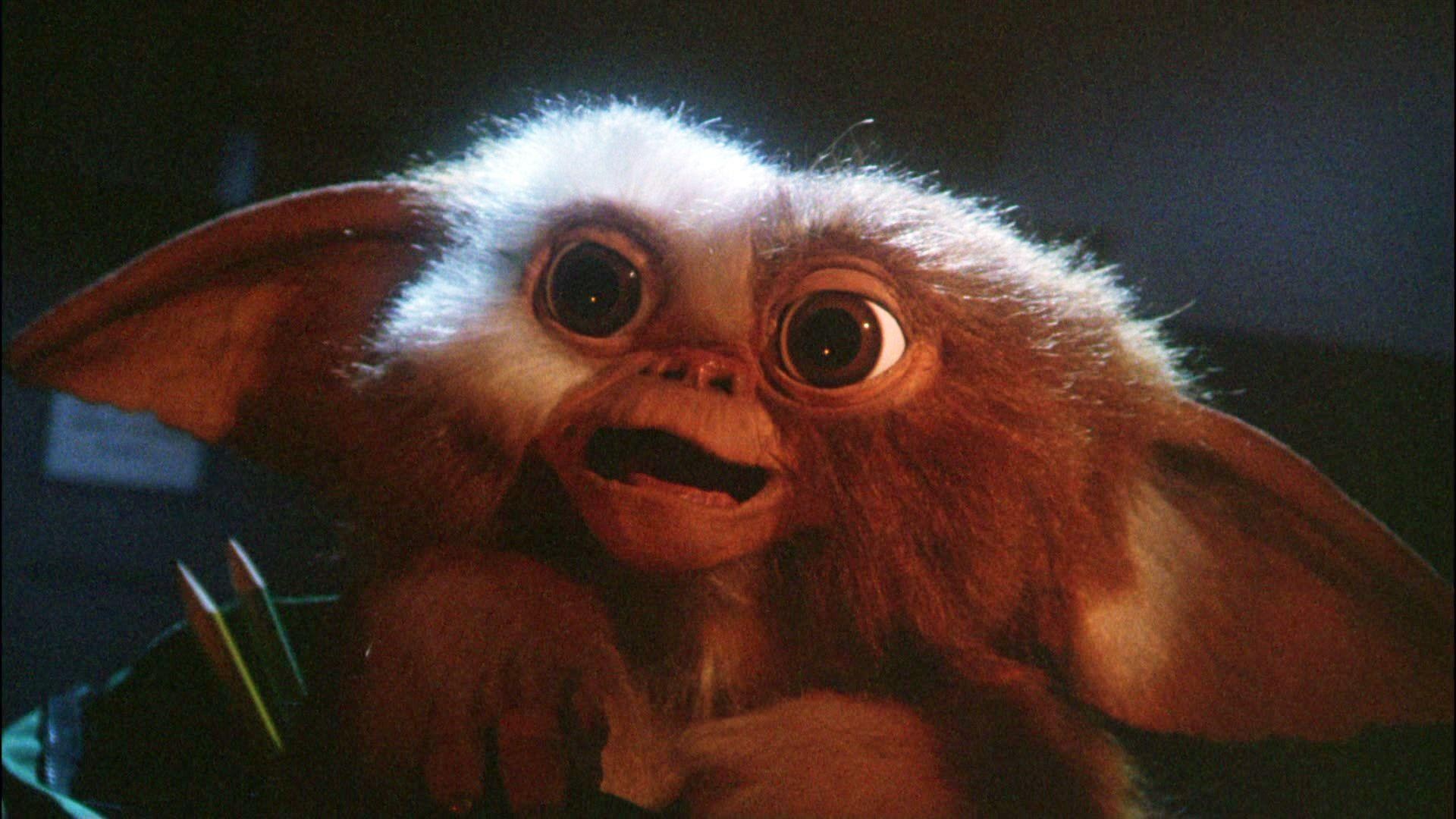 Gremlin: Gizmo, A small, furry creature called a mogwai, 1984 movie. 1920x1080 Full HD Background.