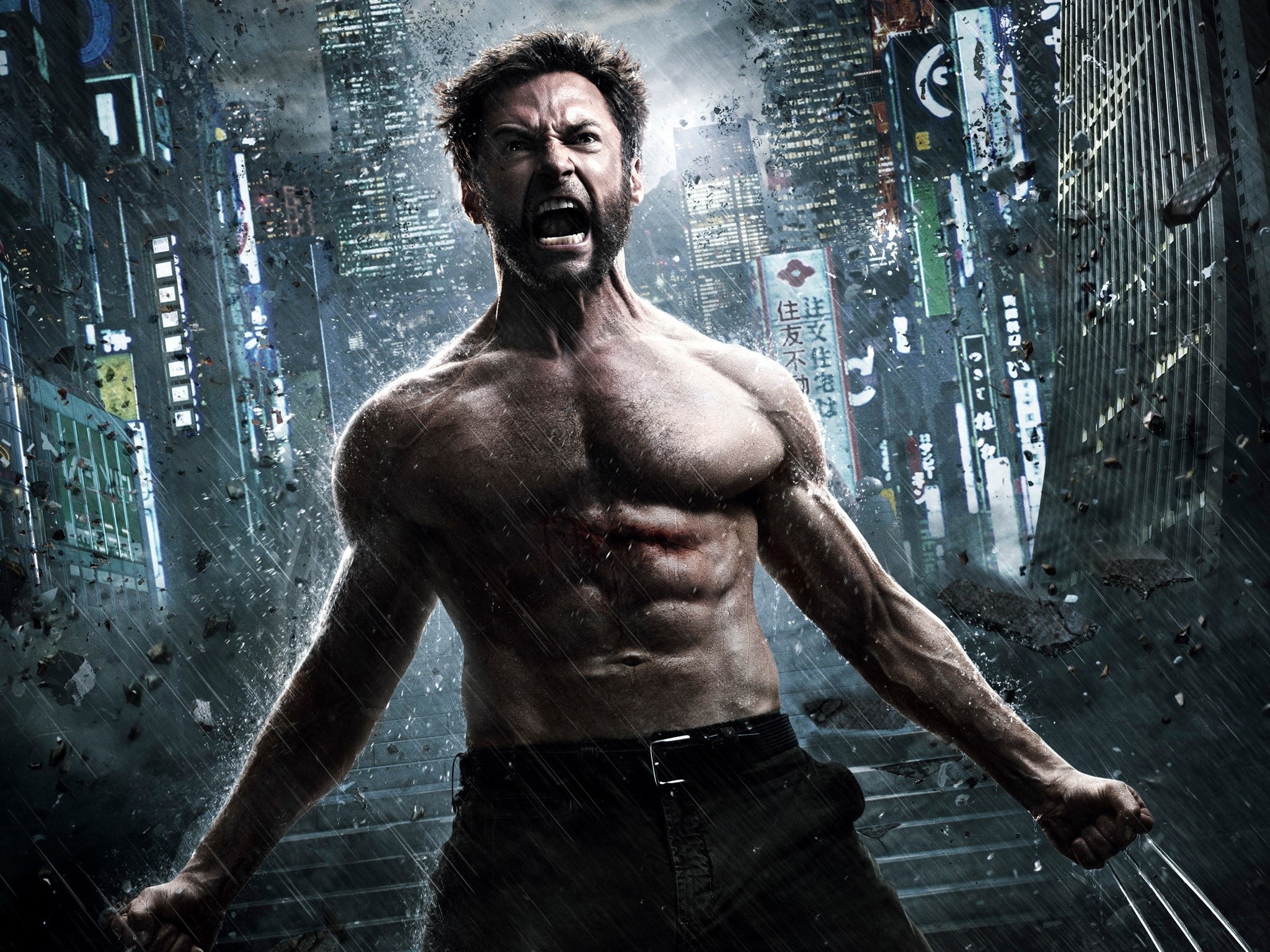 The Wolverine, Wolverine Wallpaper, ID808, 2050x1540 HD Desktop