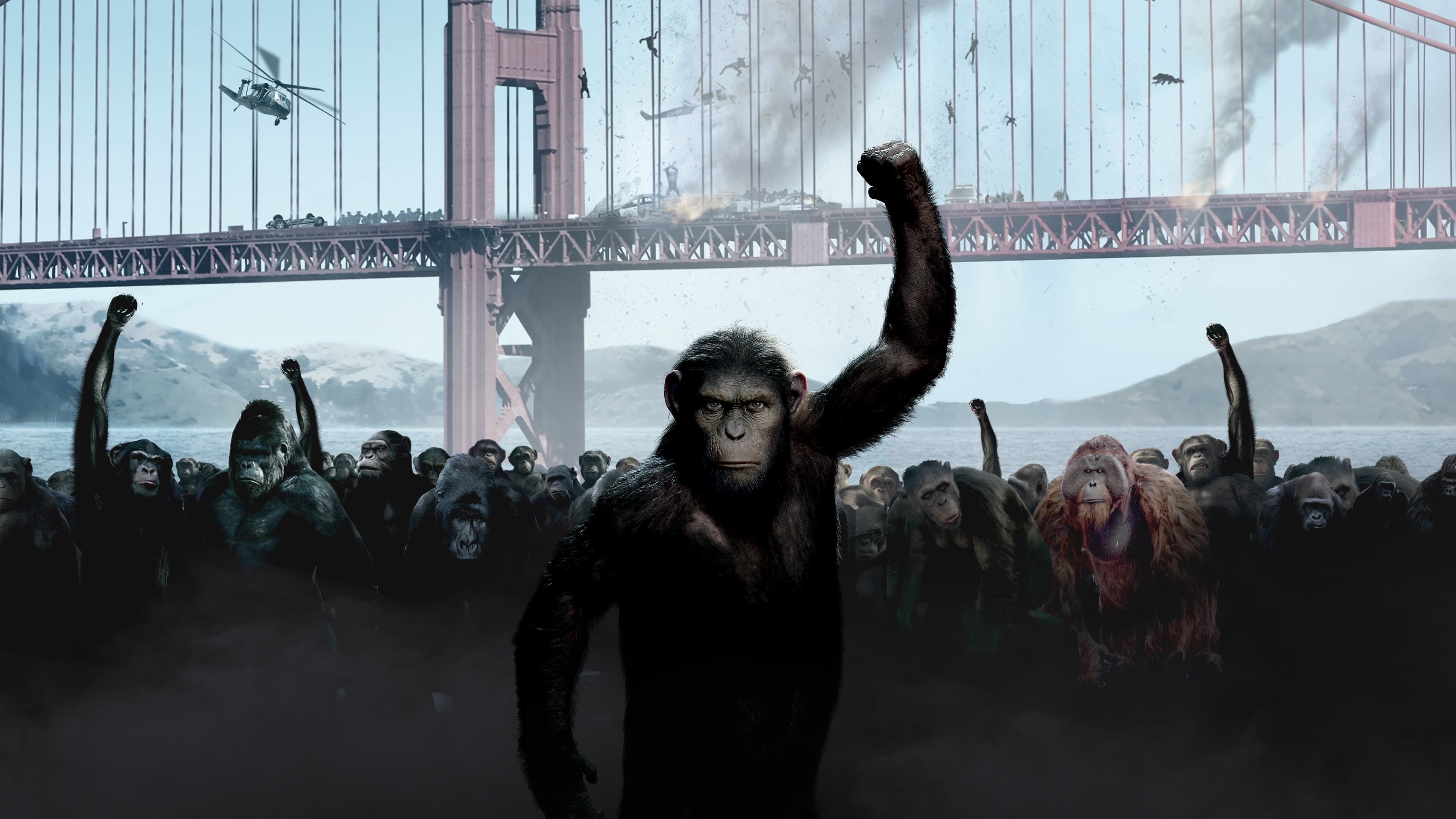 Planet of the Apes, Rise film, Backdrops, The movie database, 3840x2160 4K Desktop