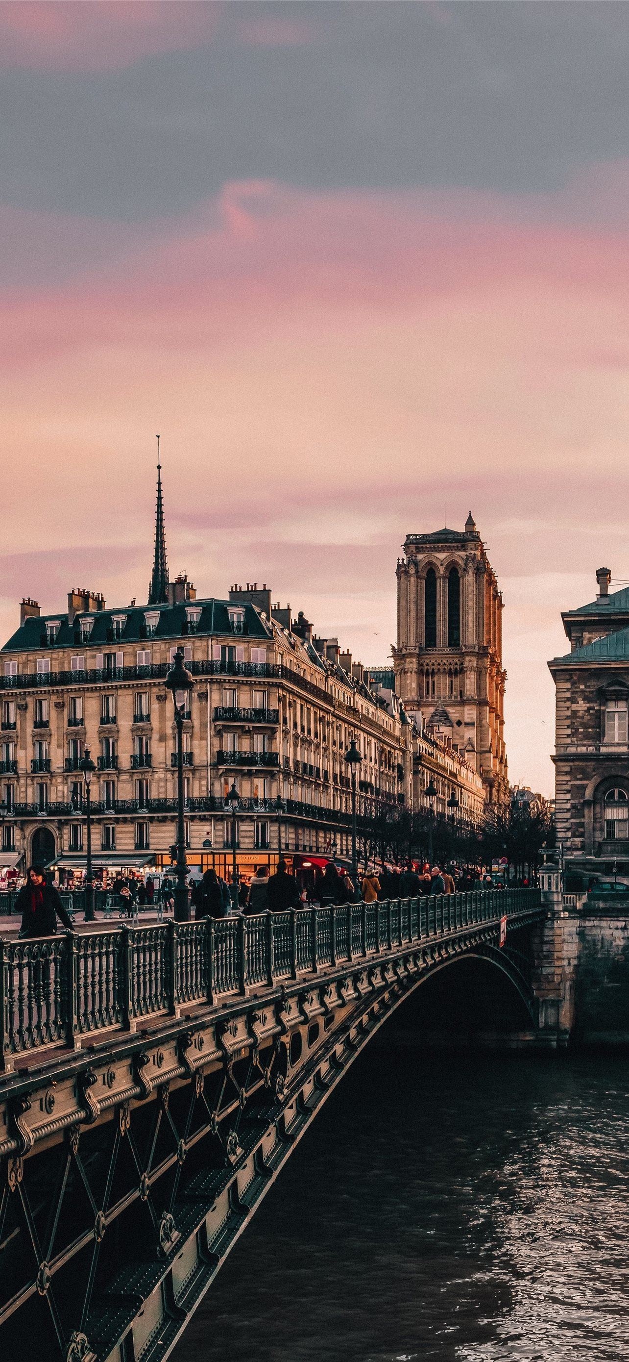 City: Paris, Notre-Dame de Paris, The spire that has been destroyed in the 2019 fire. 1290x2780 HD Wallpaper.