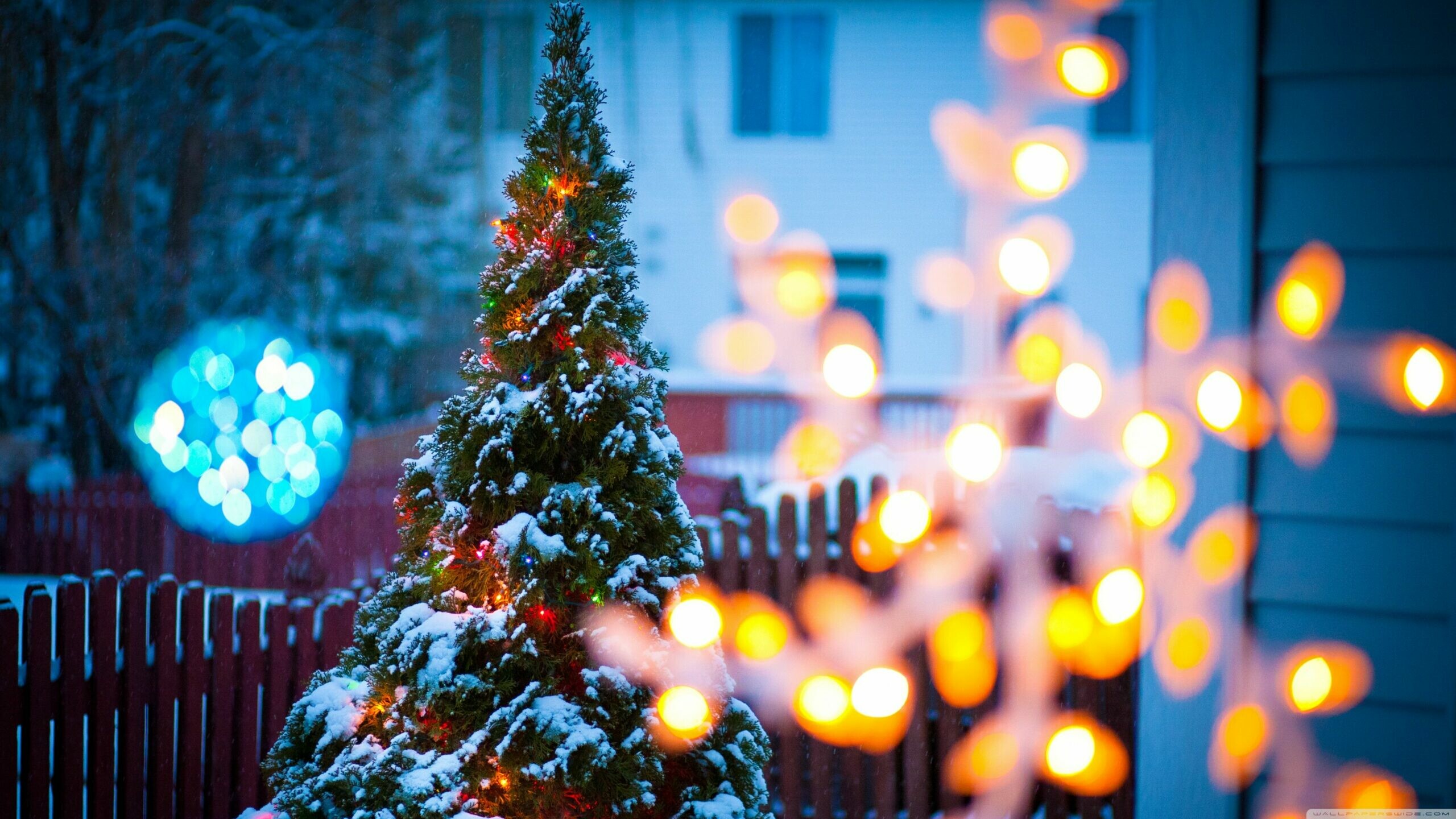 Christmas Ornament: Holiday, Evergreen, Celebration. 2560x1440 HD Wallpaper.