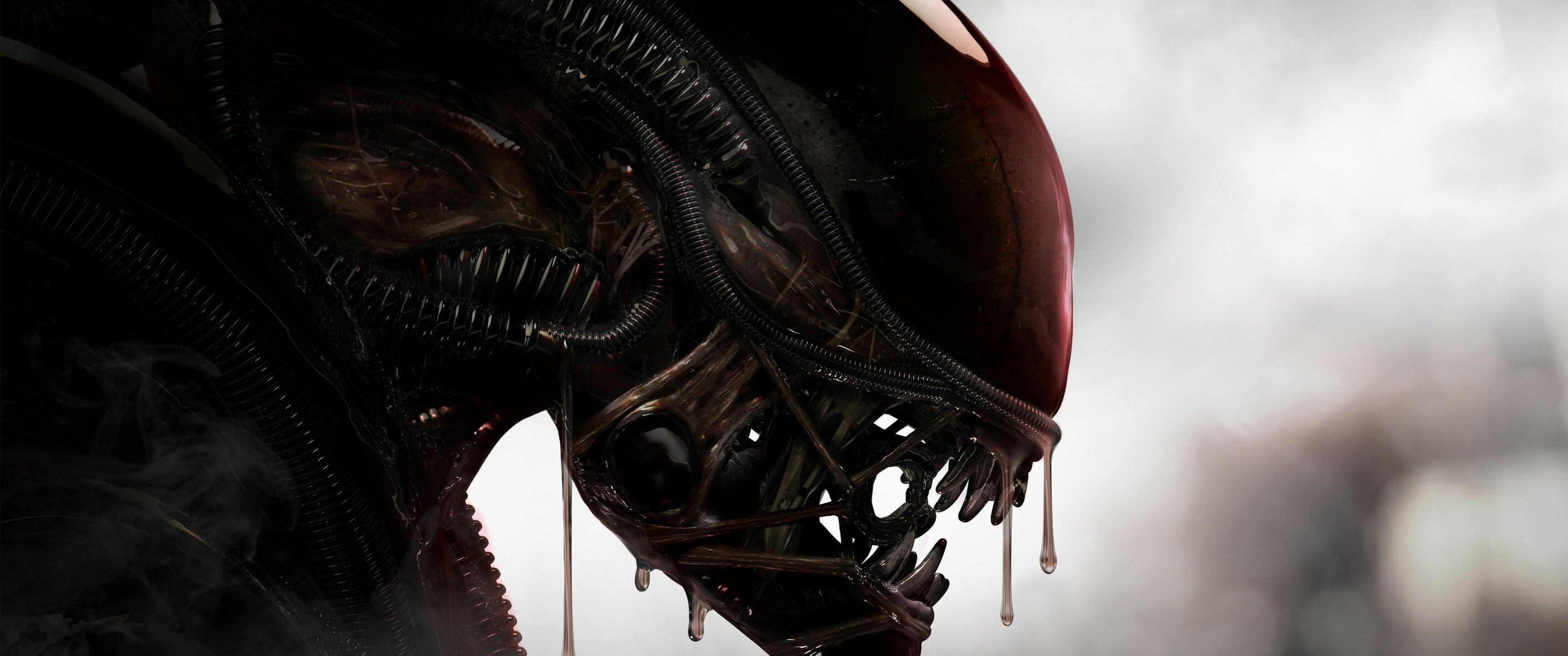 Alien (Movie): A Xenomorph XX121, Internecivus raptus, A fictional endoparasitoid extraterrestrial species. 3440x1440 Dual Screen Background.
