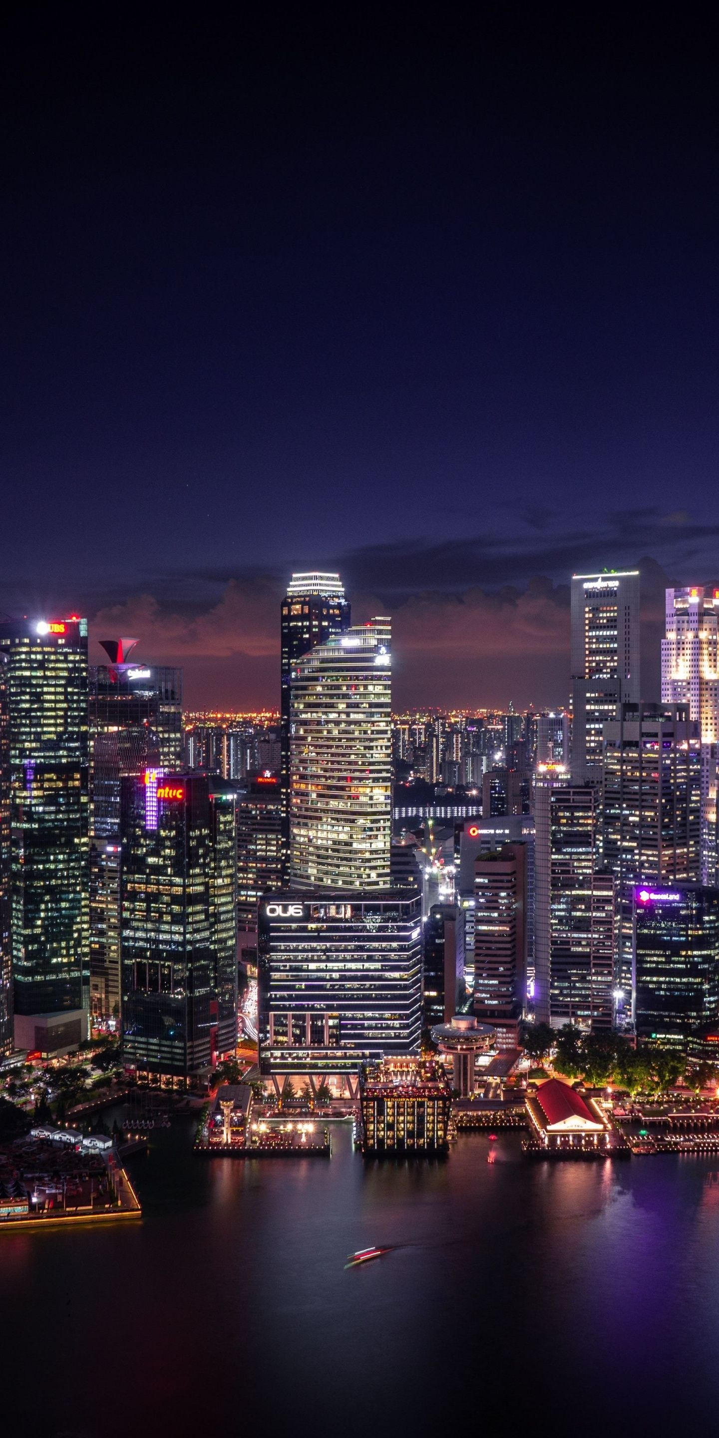Singapore Skyline, Night cityscape, Downtown view, City at night, 1440x2880 HD Handy