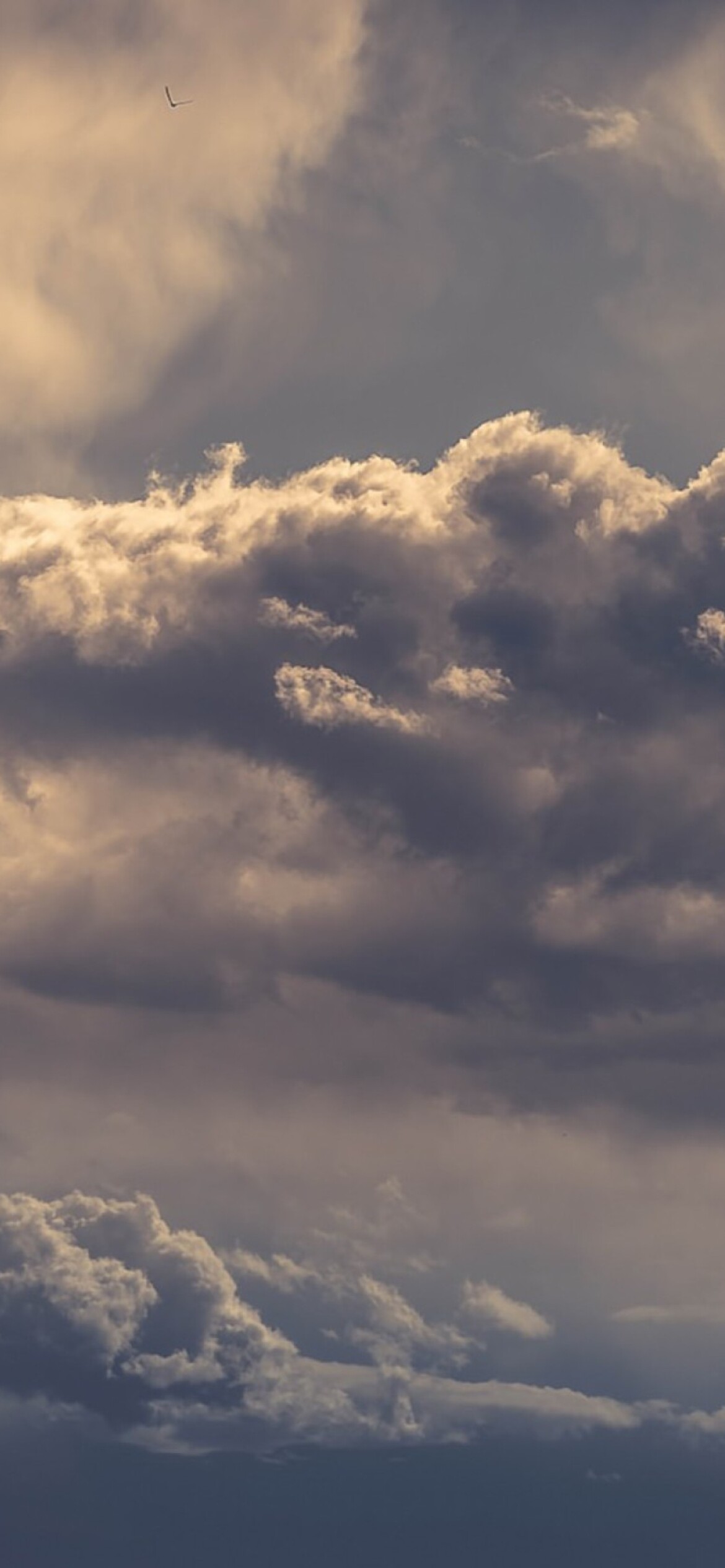 Clouds: Storm, Altocumulus bases show some light-grey shading. 1170x2540 HD Wallpaper.