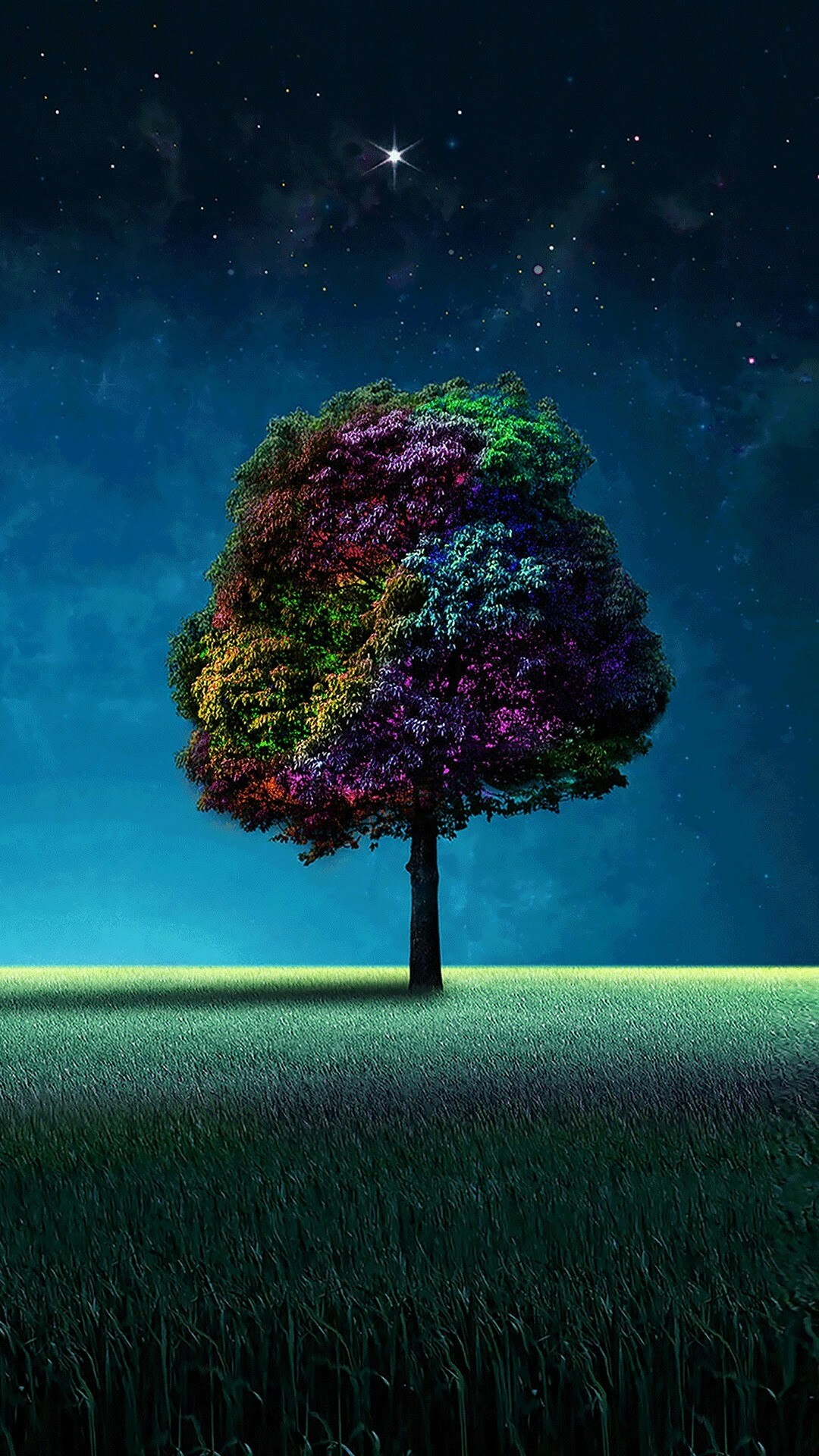 Baum (Natur), farbenfrohes Baum-Hintergrundbild, lebendiges Laub, Farbpalette der Natur, faszinierende Schnheit, 1080x1920 Full HD Handy