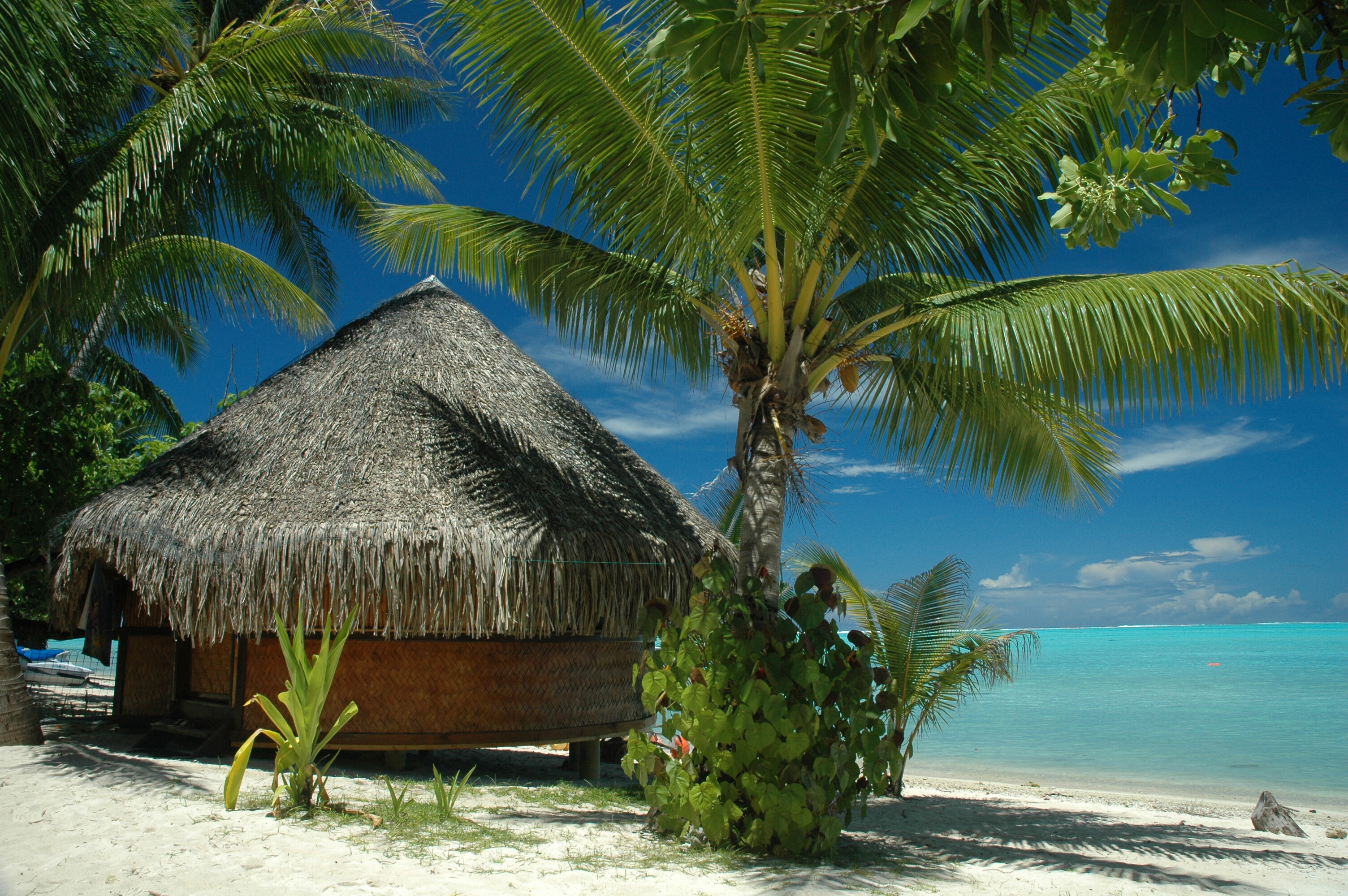 Tahiti: The largest of islands located in French Polynesia, Beach, Bungalow, Palm tree. 3010x2000 HD Wallpaper.