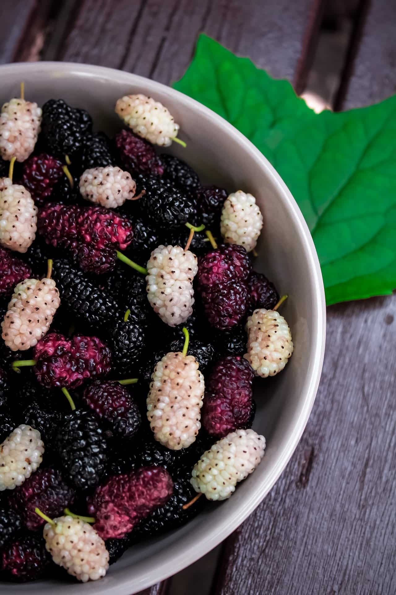 Mulberry health benefits, Nutritional powerhouse, Nature's superfood, Boosts well-being, 1280x1920 HD Phone