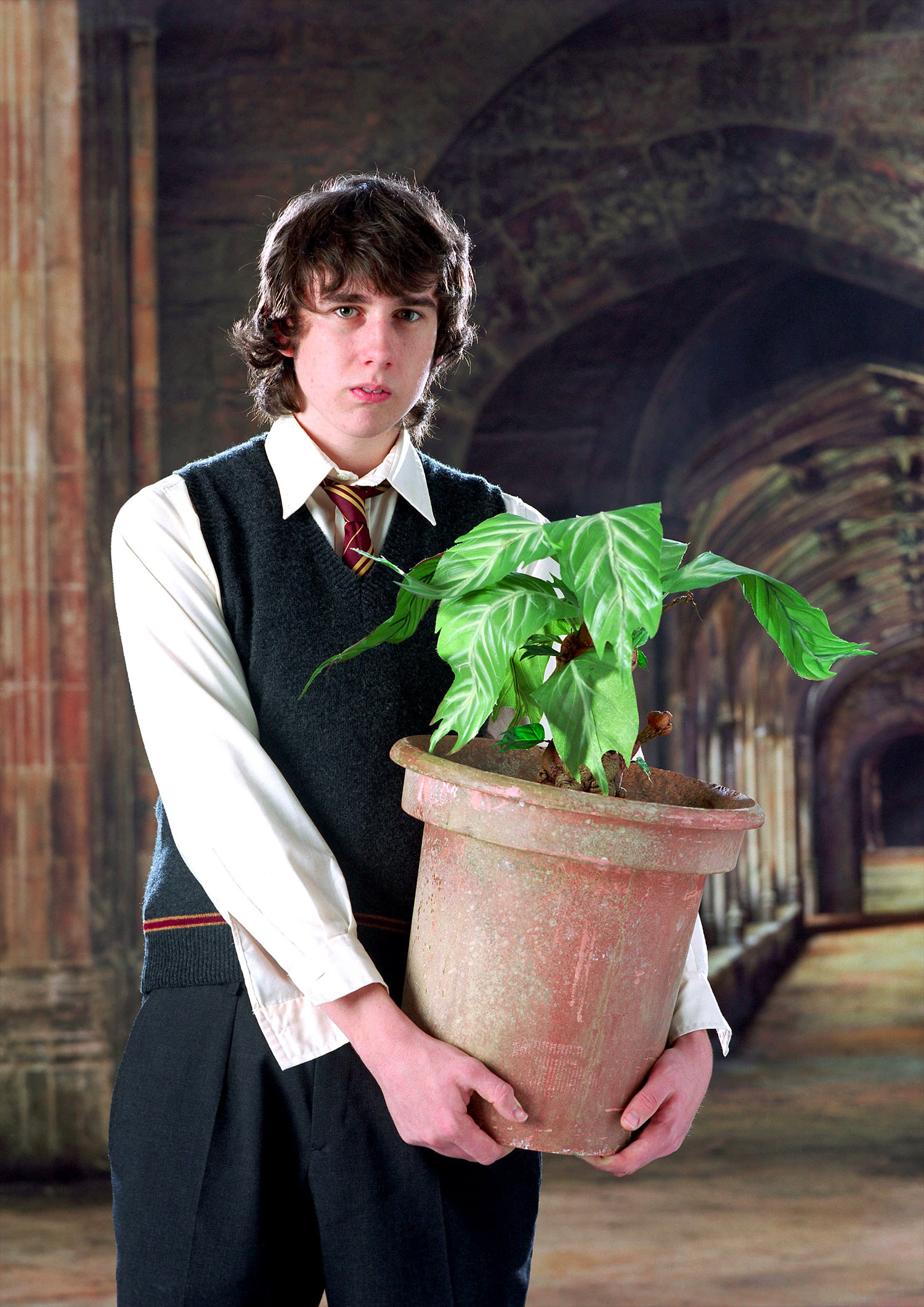 Neville Longbottom portrait, Harry Potter fan zone, Memorable character, Underestimated hero, 1500x2130 HD Phone