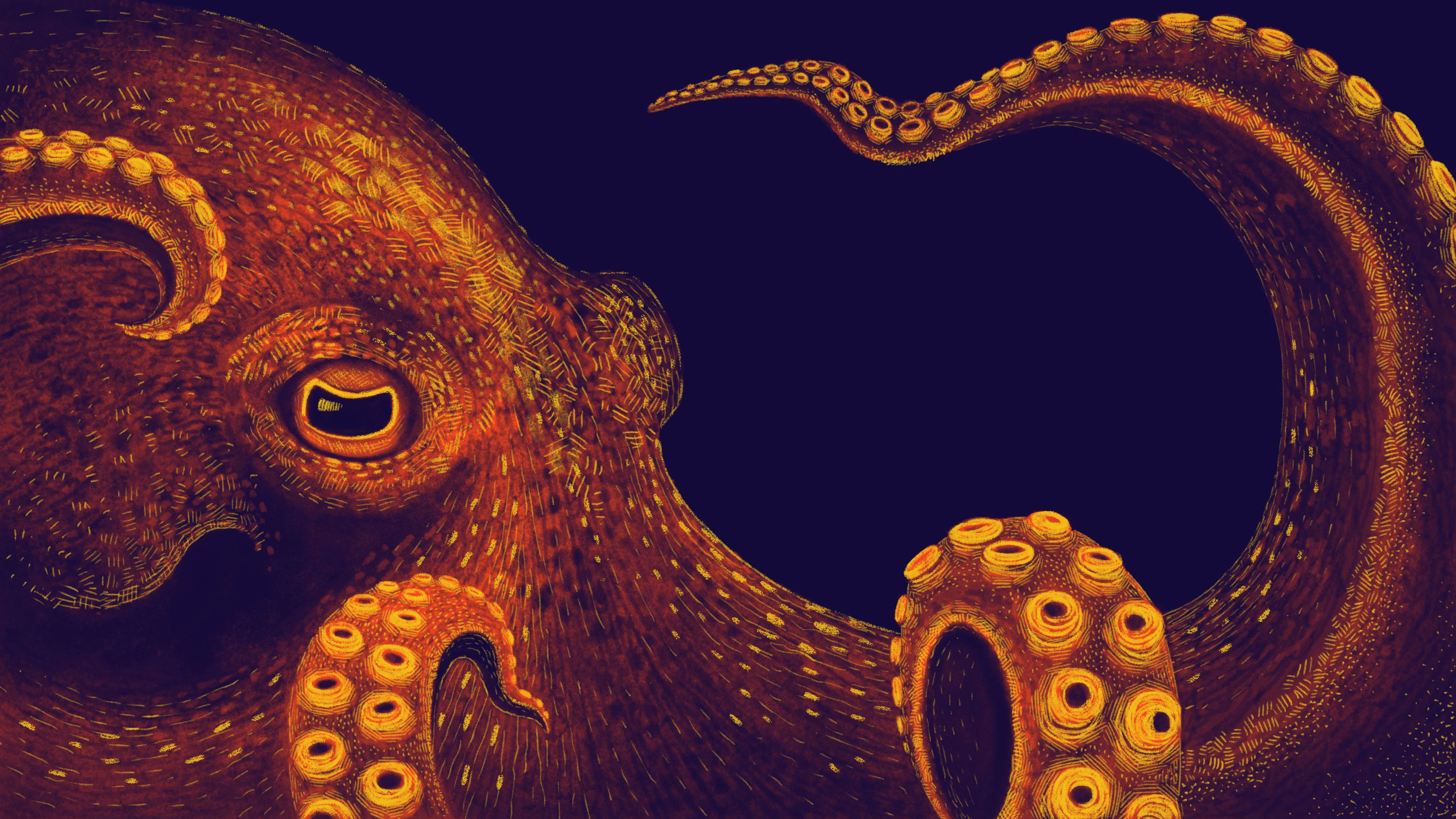 Cephalopod week movie nights, City-based events, Educational and entertaining, Discover the wonders of the octopus, 3840x2160 4K Desktop