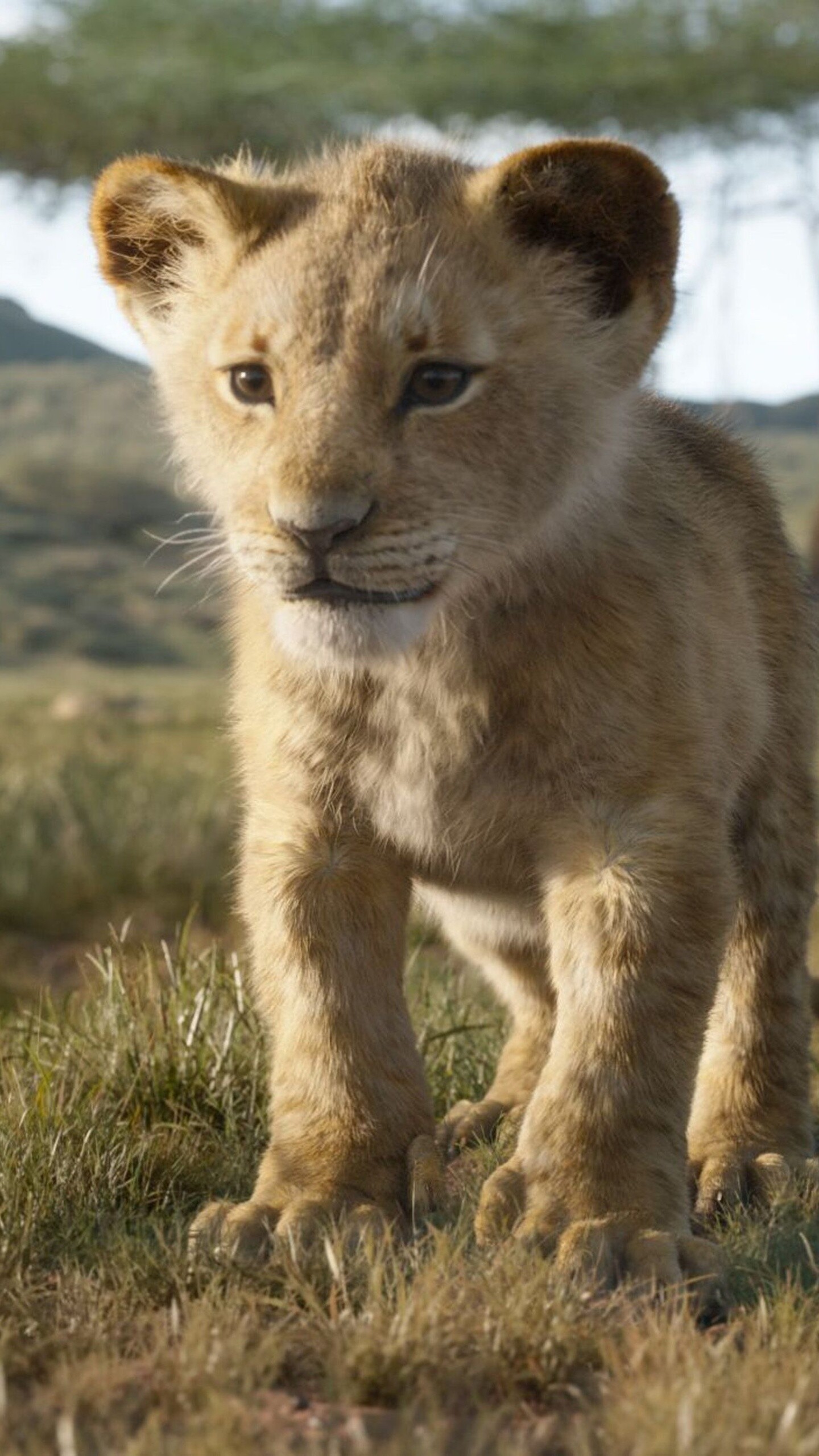 The Lion King: Simba, A fictional character in the animated film by Disney. 1440x2560 HD Background.