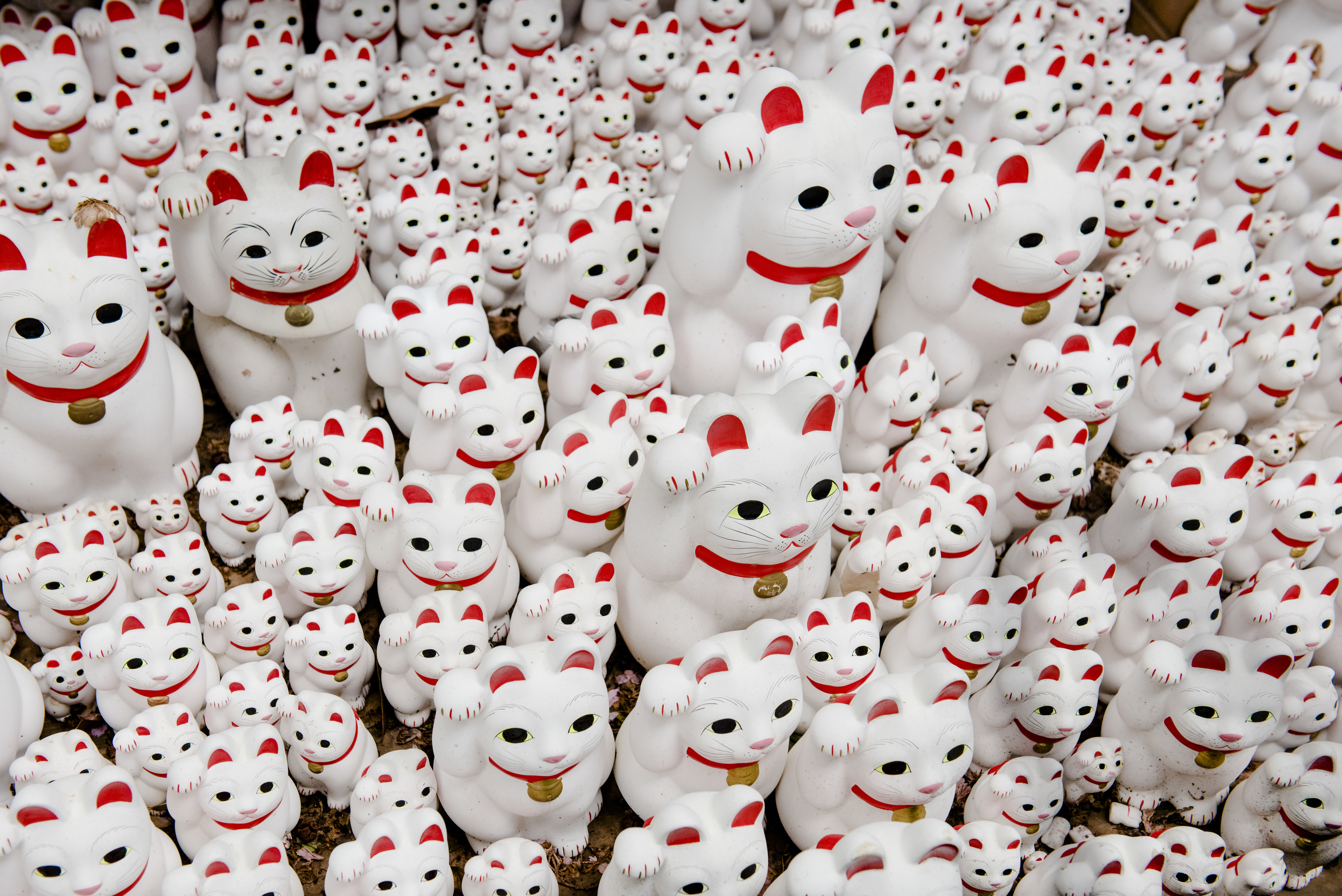 Japanese Lucky Cat, Beckoning Tradition, Symbol of Good Fortune, Captivating Myth, 3000x2010 HD Desktop