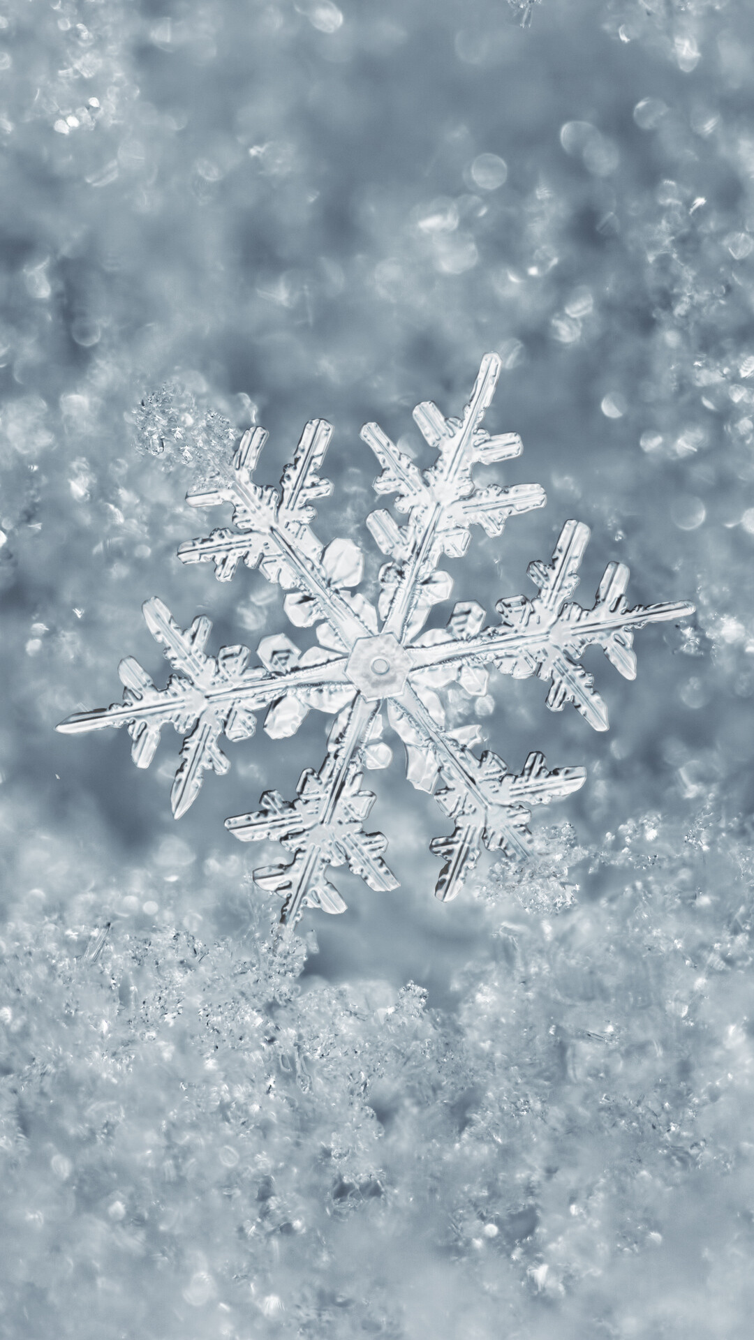 Winter: Snowflake, Deposit of ice crystals on objects. 1080x1920 Full HD Wallpaper.