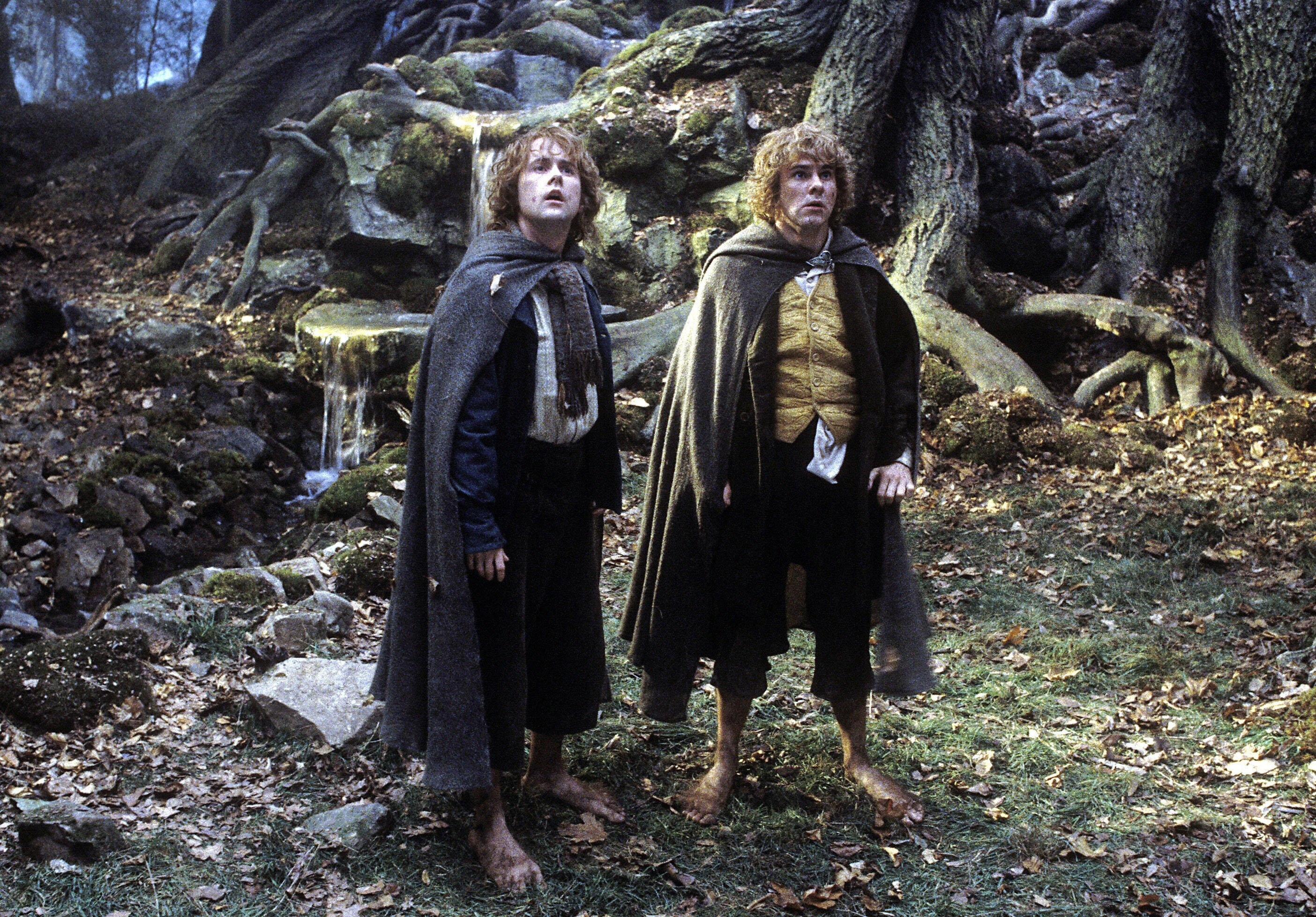 Fangorn, Movies, Lord of the Rings, Wallpaper, 2810x1960 HD Desktop