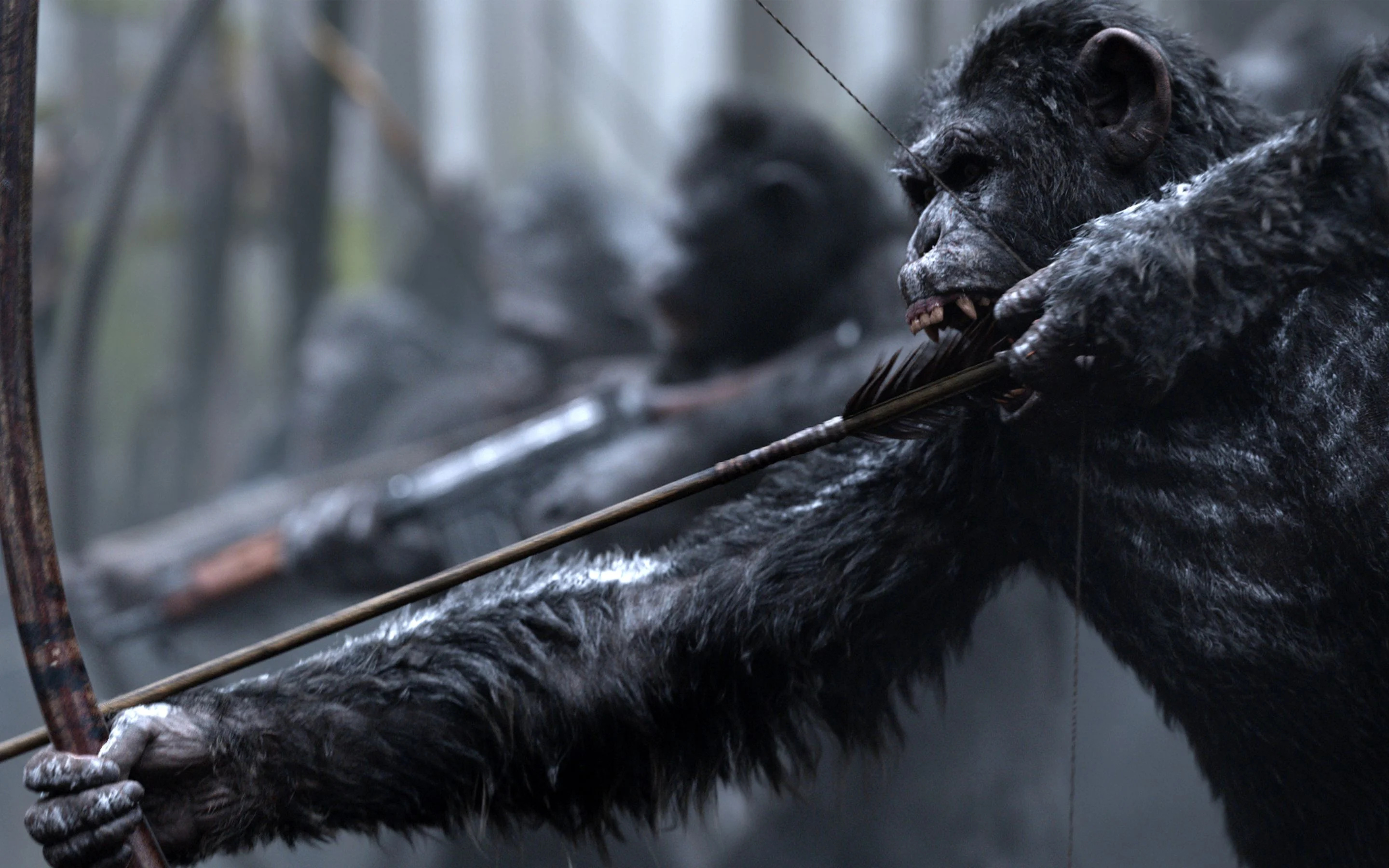 Planet of the Apes, War film, Top free wallpapers, Backgrounds, 2880x1800 HD Desktop