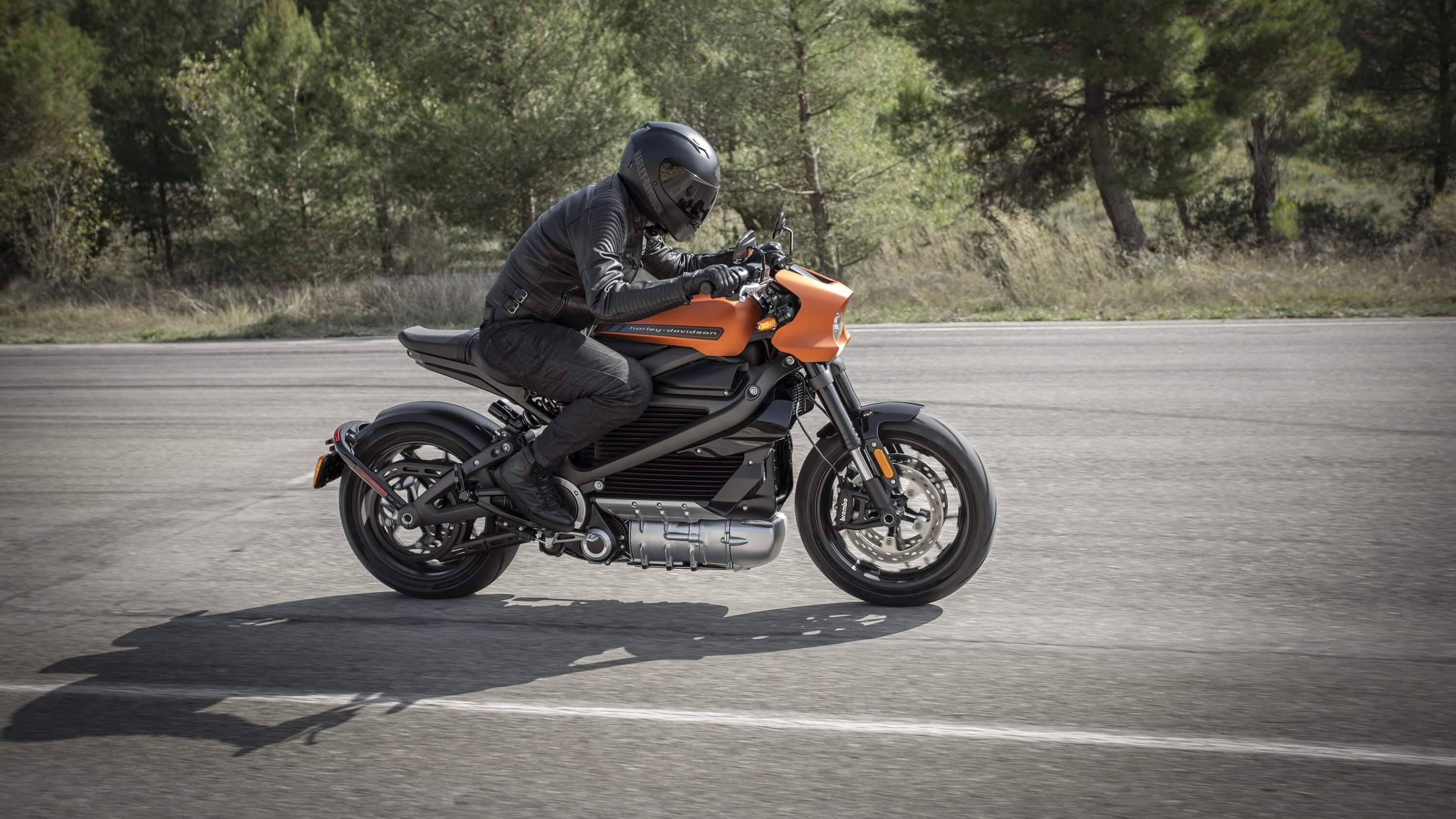 Harley-Davidson Livewire, Speed record, Electric bikes, Motorcycle performance, 3000x1690 HD Desktop