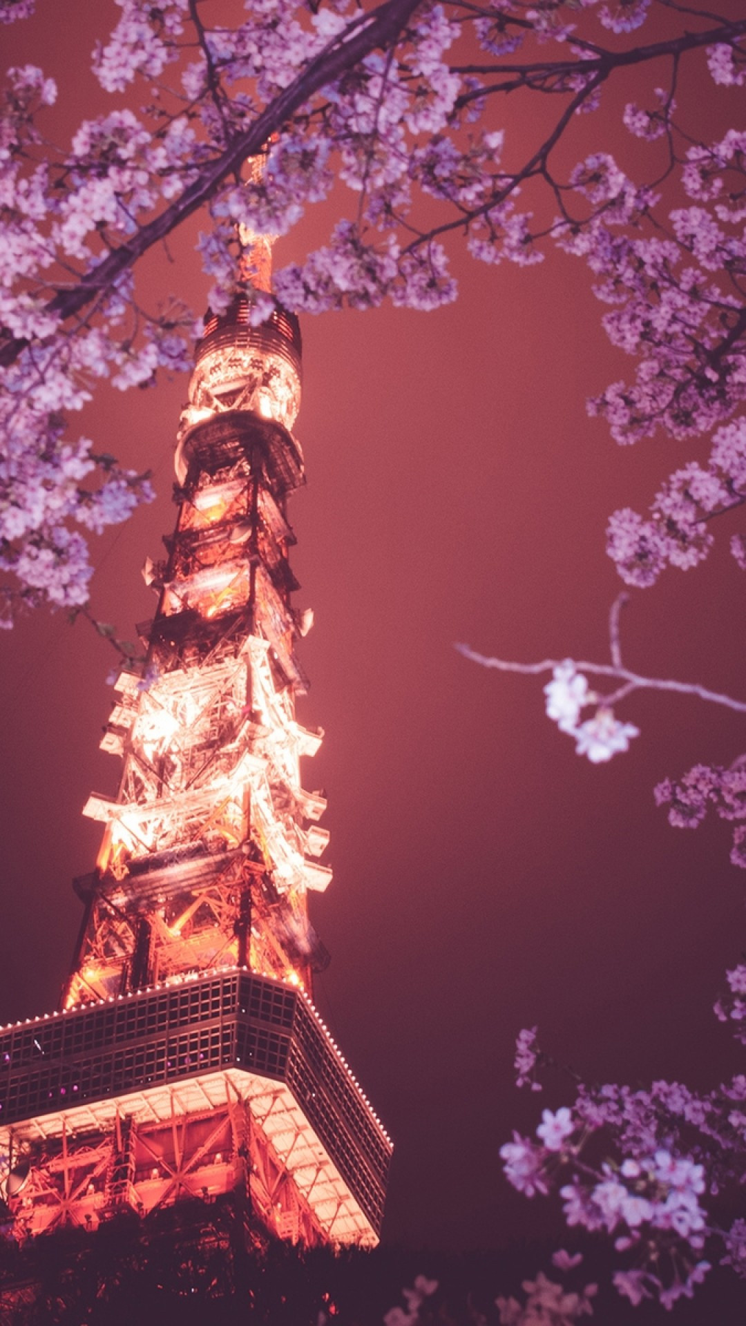 Tokyo Tower, Sakura blossom, Cherry lights, Japanese spring, 1080x1920 Full HD Handy