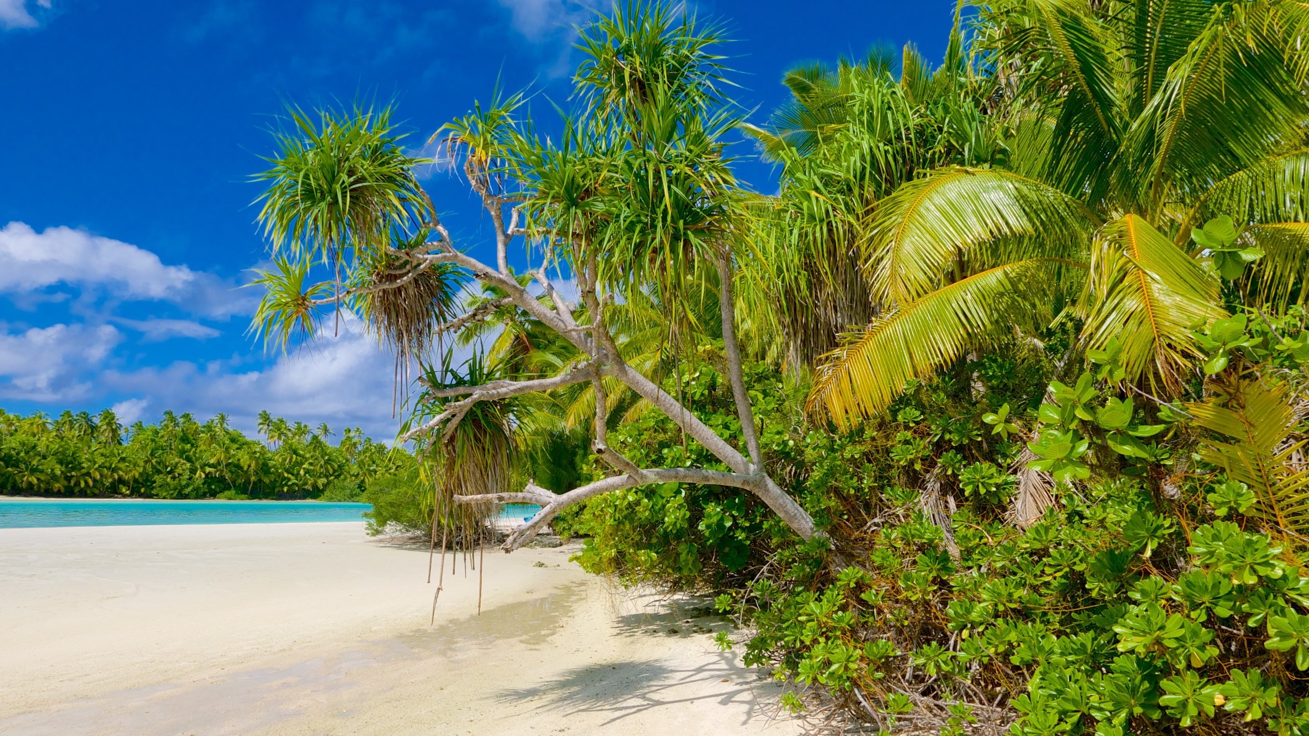 Cook Islands 2022, Travel guide, Australia, South Pacific, 2560x1440 HD Desktop
