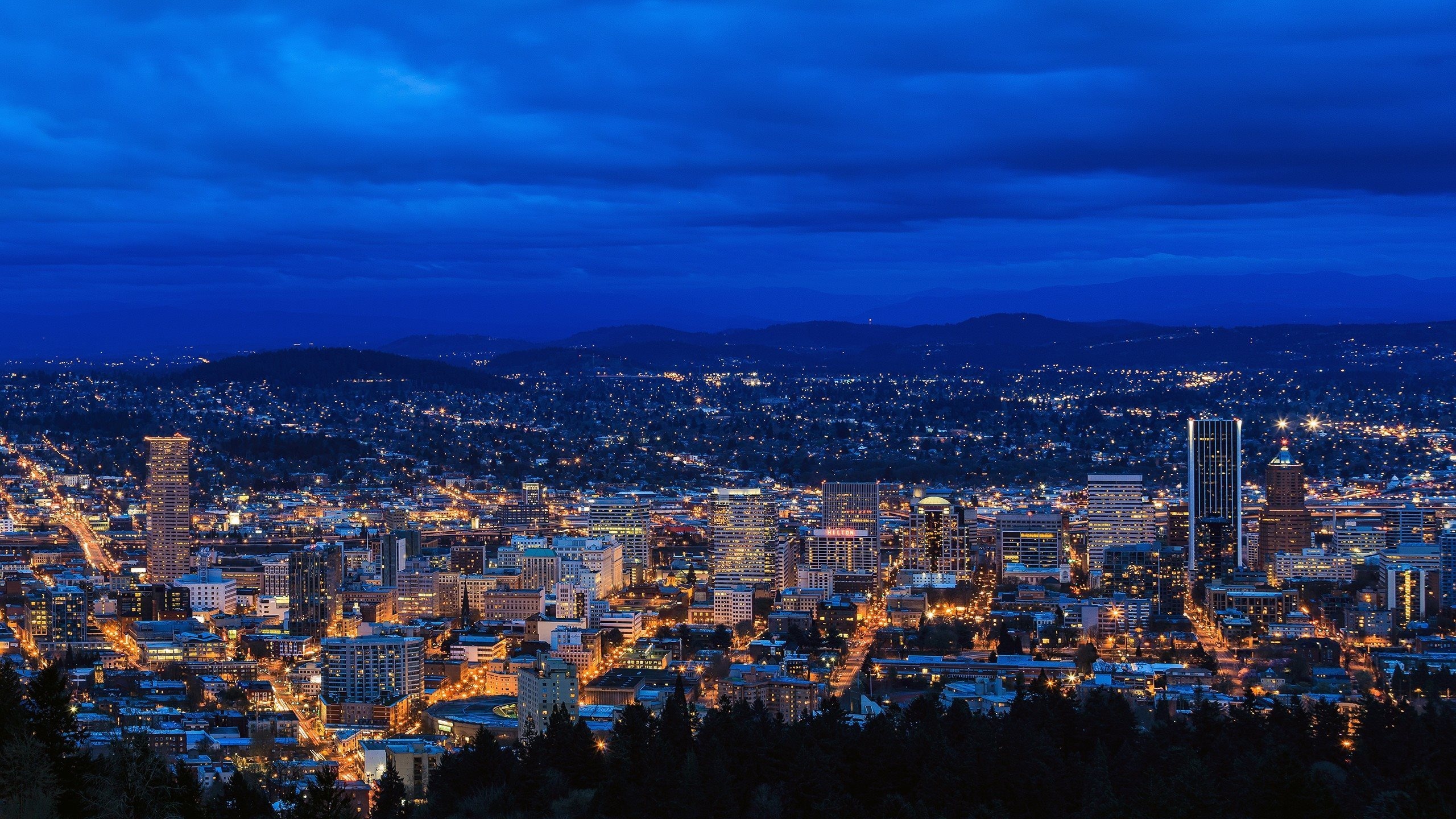 Lights Portland night, Oregon city skyline, Vibrant cityscape, Nighttime beauty, 2560x1440 HD Desktop