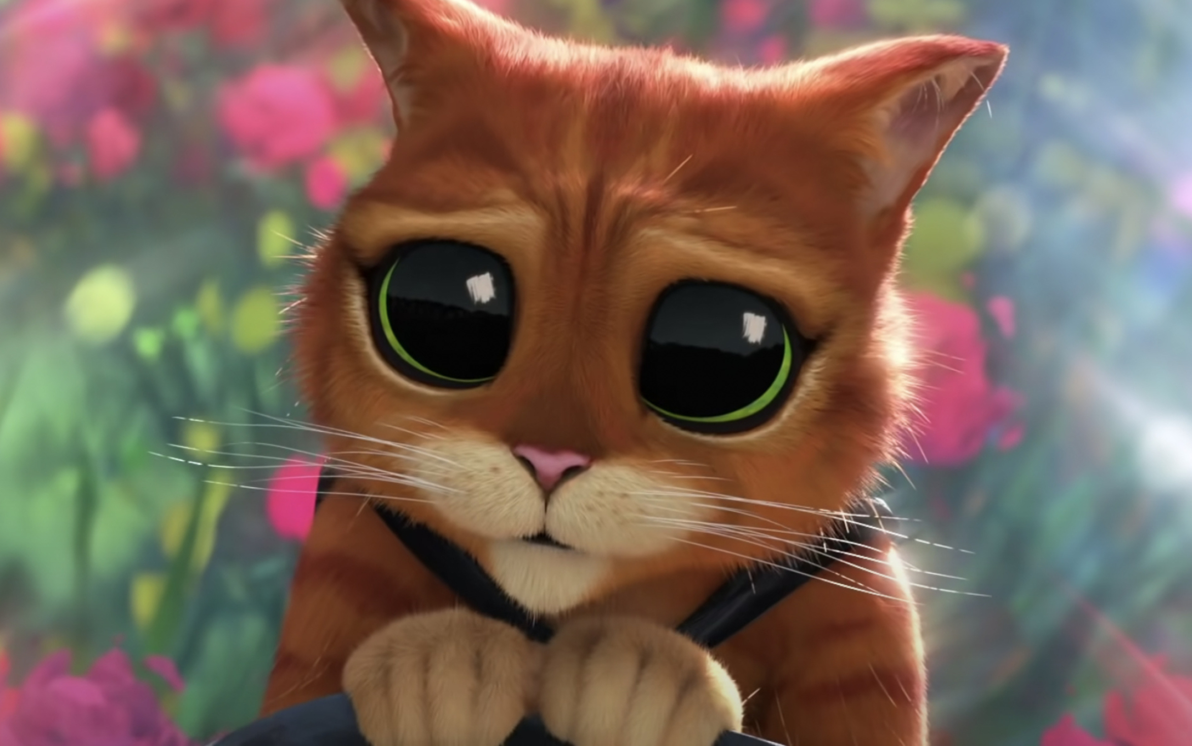 Puss in Boots 2, Animated sequel, Adventure awaits, Last wish, 2350x1470 HD Desktop