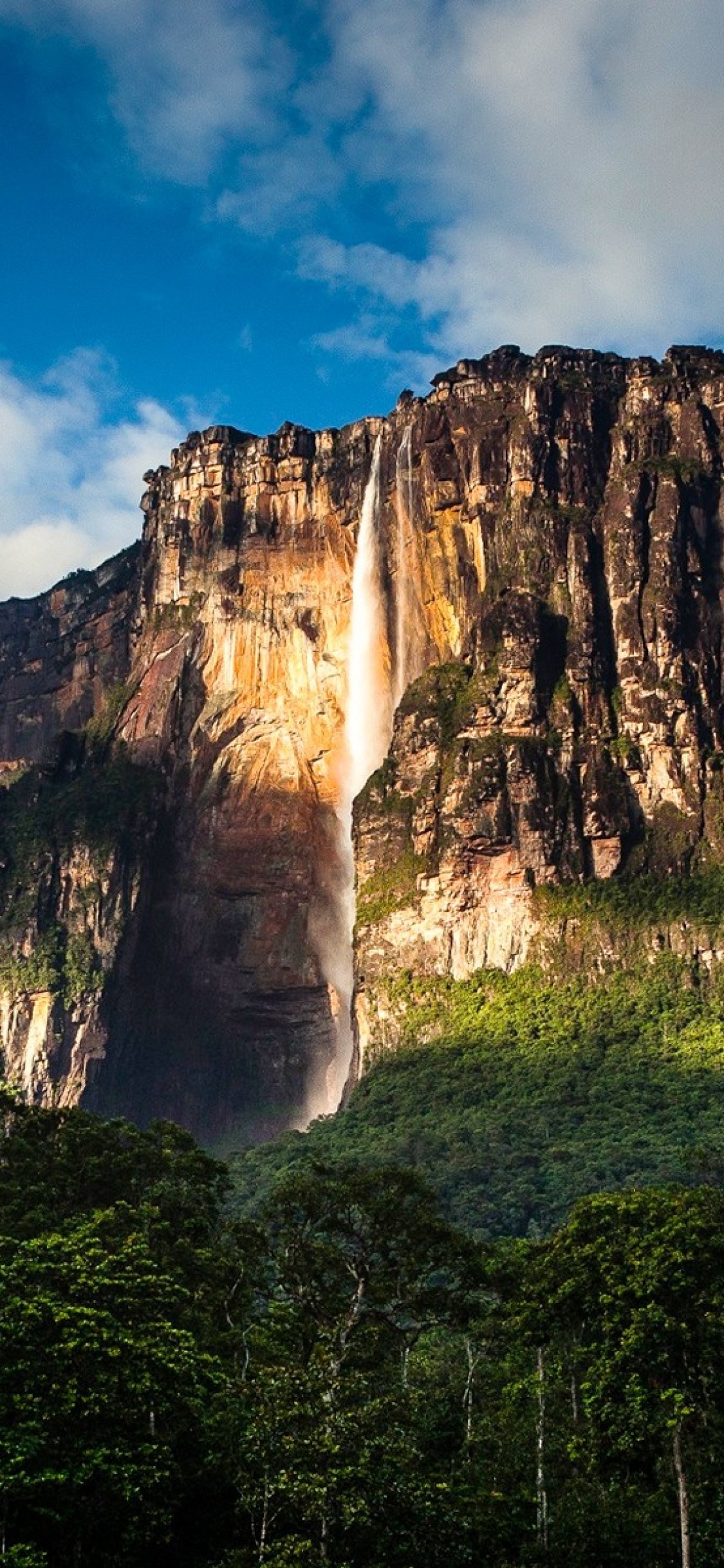 Angel Falls wallpaper posted by Ethan Simpson, 1130x2440 HD Handy