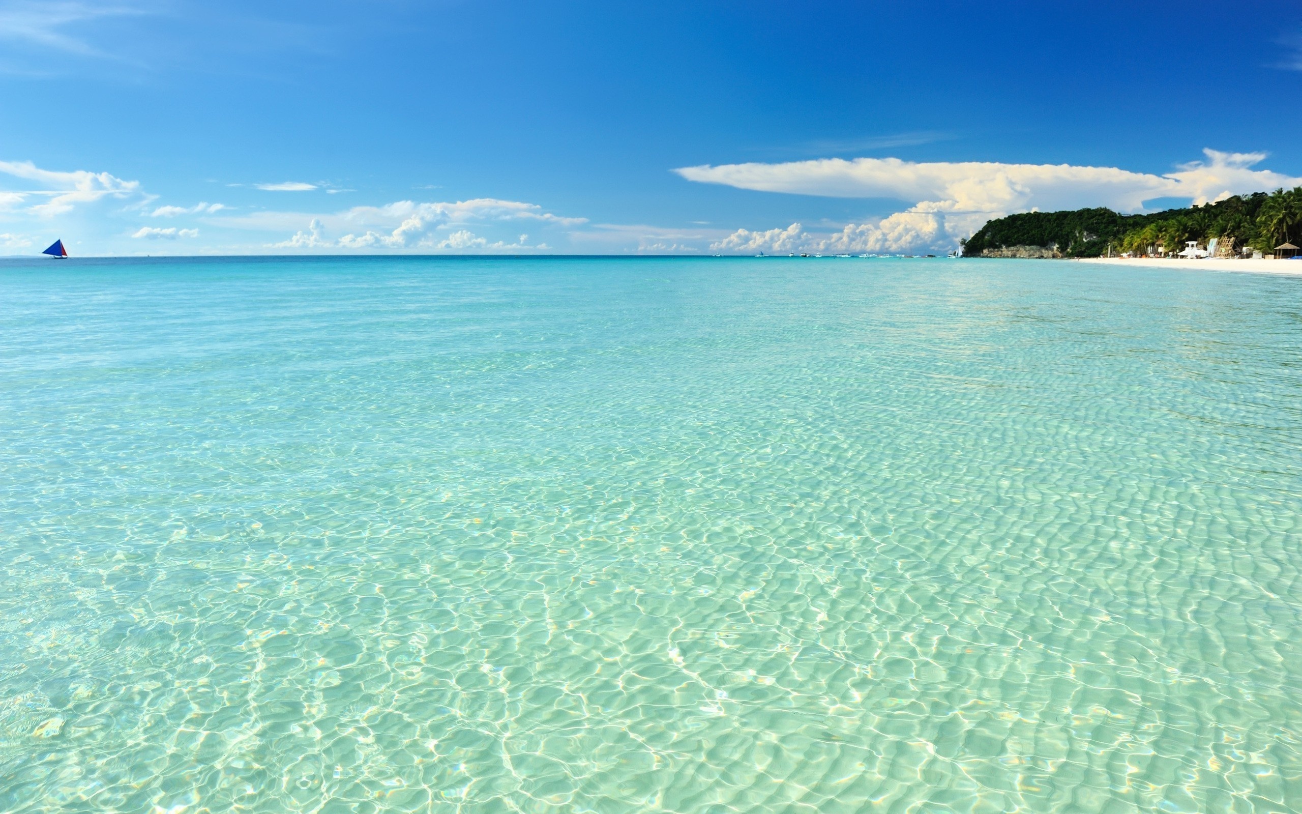 Caribbean Sea, Nature photography, Shoreline beauty, Island paradise, 2560x1600 HD Desktop