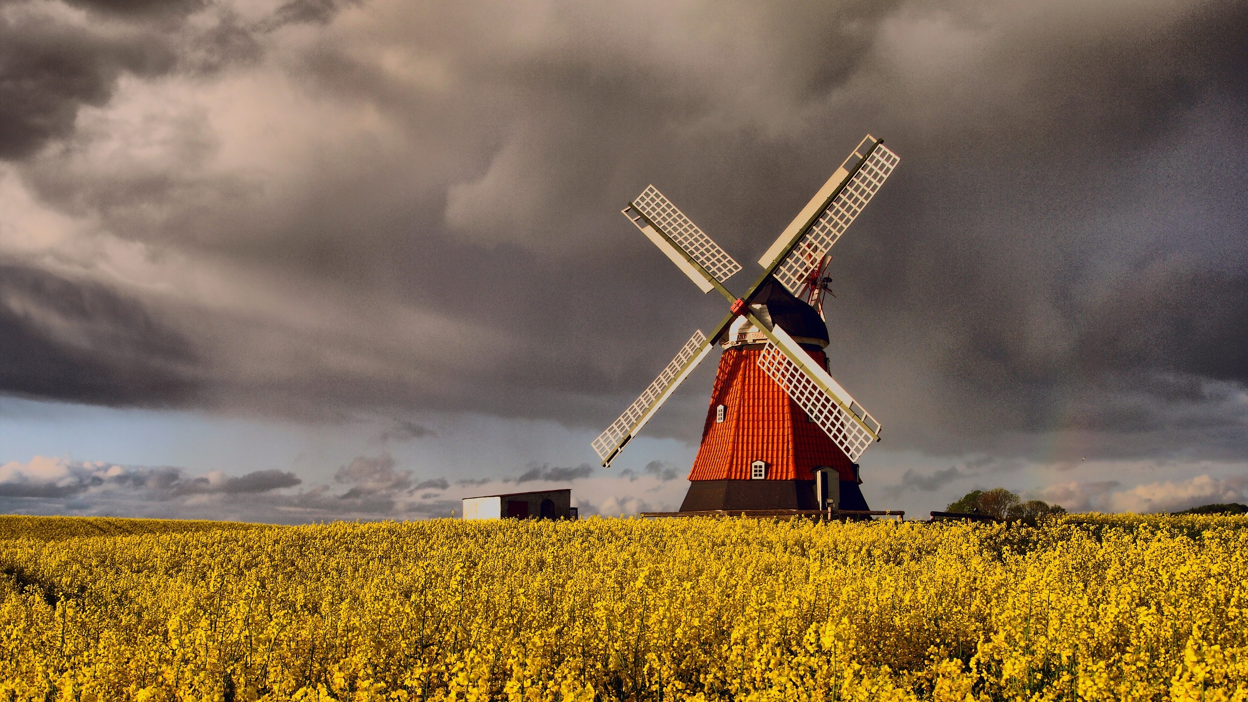 Windmills in Denmark, Cloud-filled skies, Grain fields backdrop, Rural charm, 2560x1440 HD Desktop