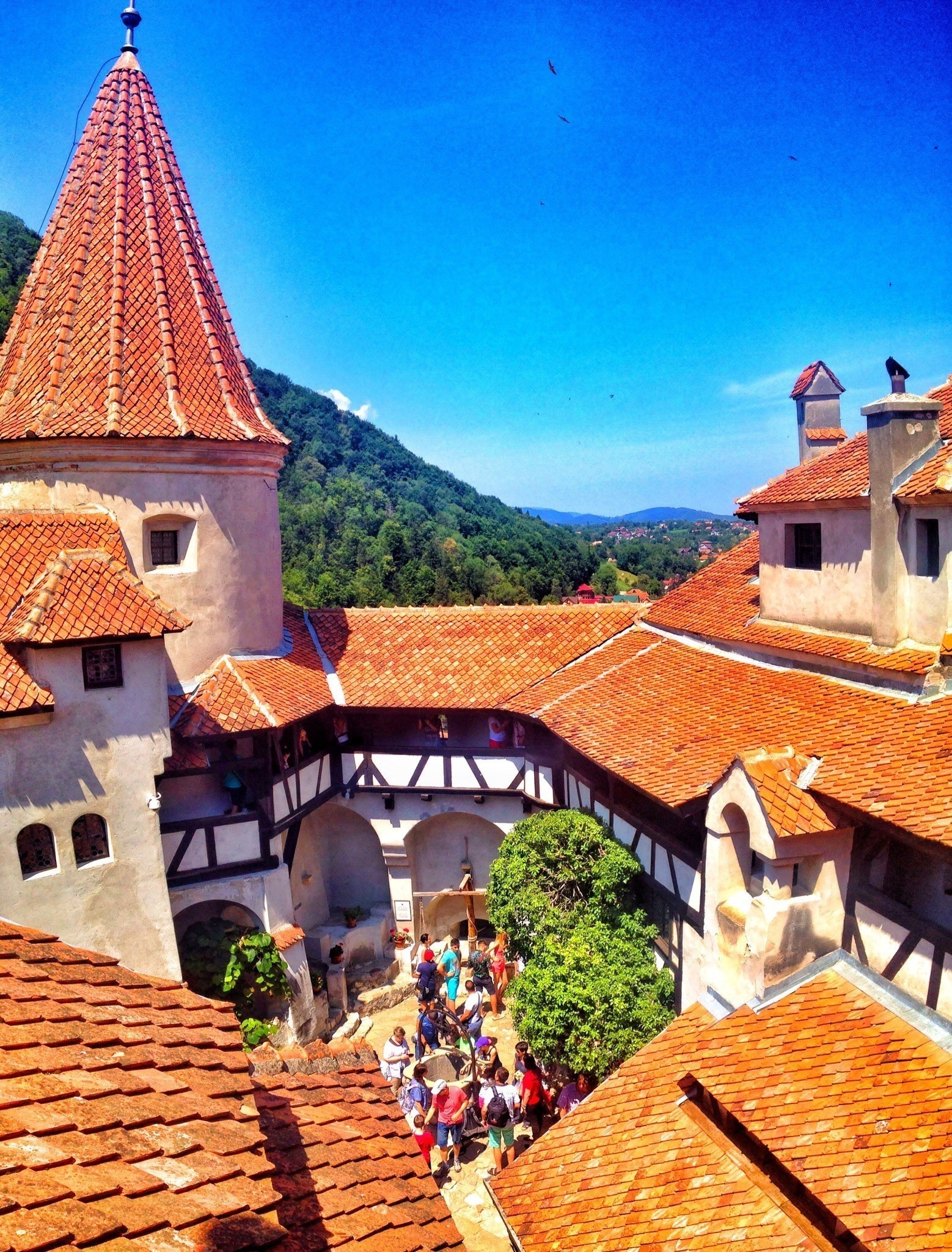 Bran Castle, Perfect day trip, Visiting Dracula's castle, 1560x2050 HD Phone