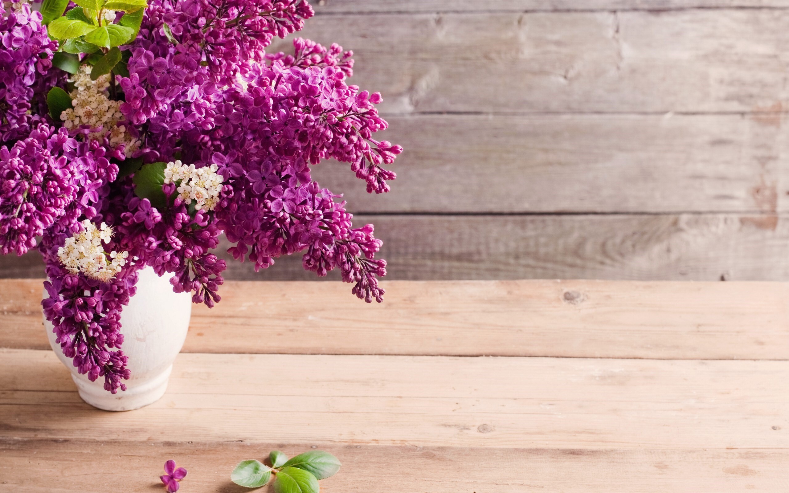 Flower Bouquet: An arrangement of flowers, Lilac. 2560x1600 HD Background.