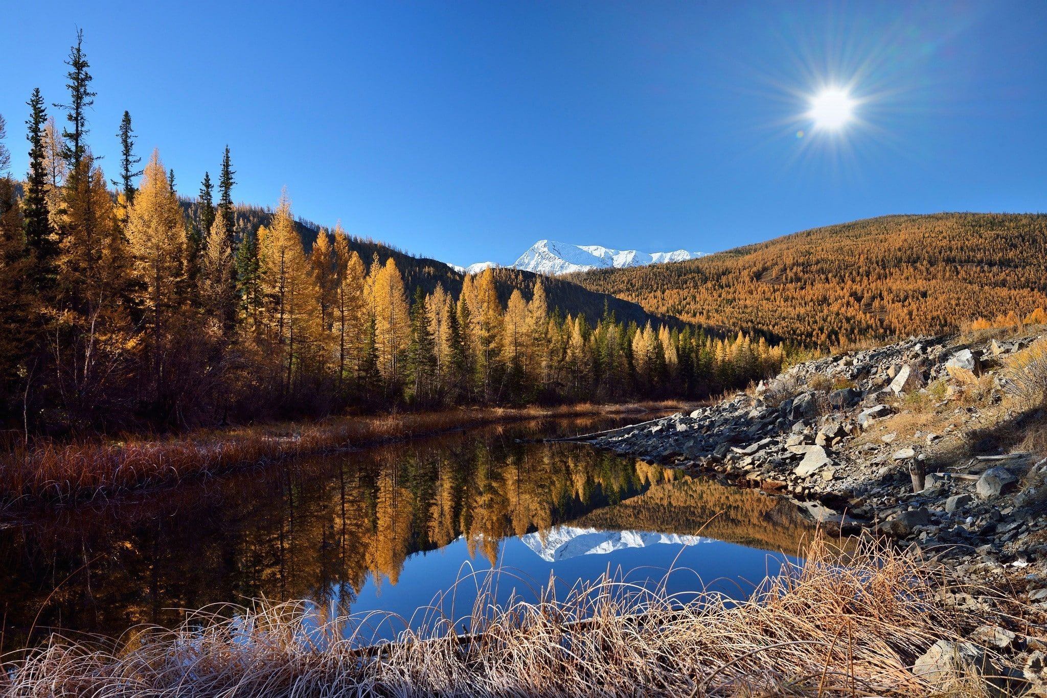 Altai Mountains, Autumn morning, Forest beside lake, Scenic beauty, 2050x1370 HD Desktop