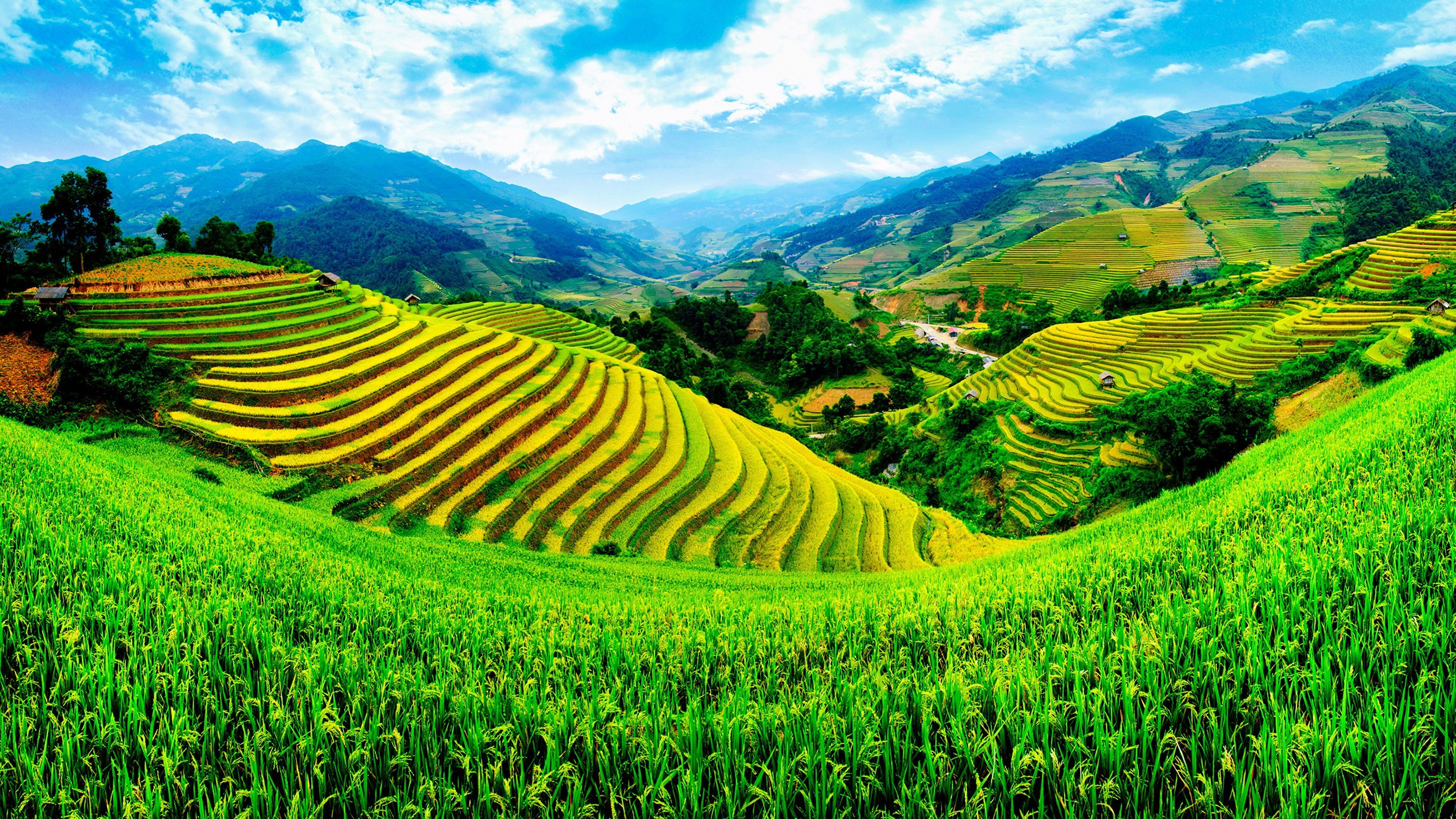 Vietnam nature, Majestic beauty, Serene landscapes, Stunning scenery, 3840x2160 4K Desktop