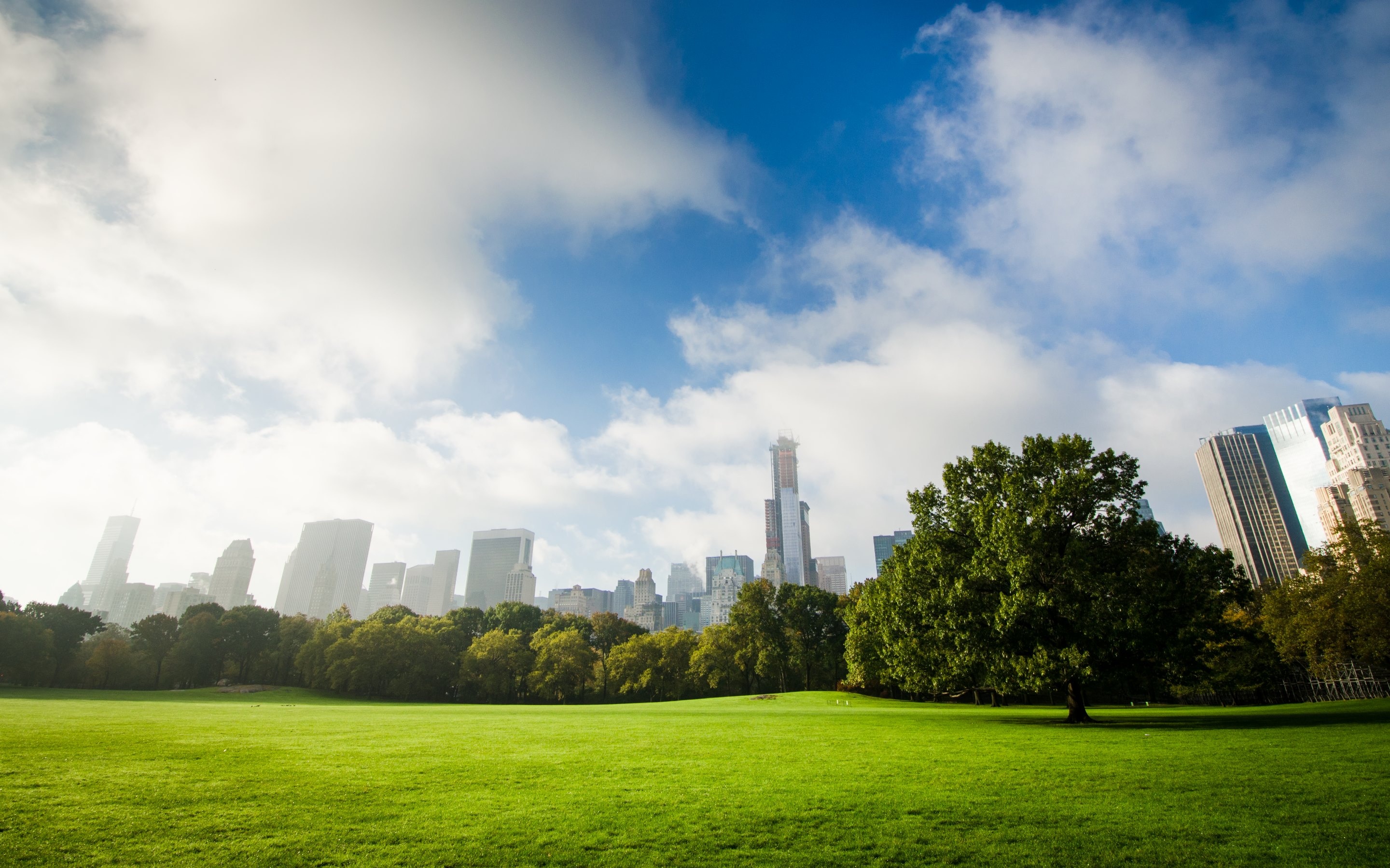 Central Park: Urban green space, NYC, Natural landscape. 2880x1800 HD Background.
