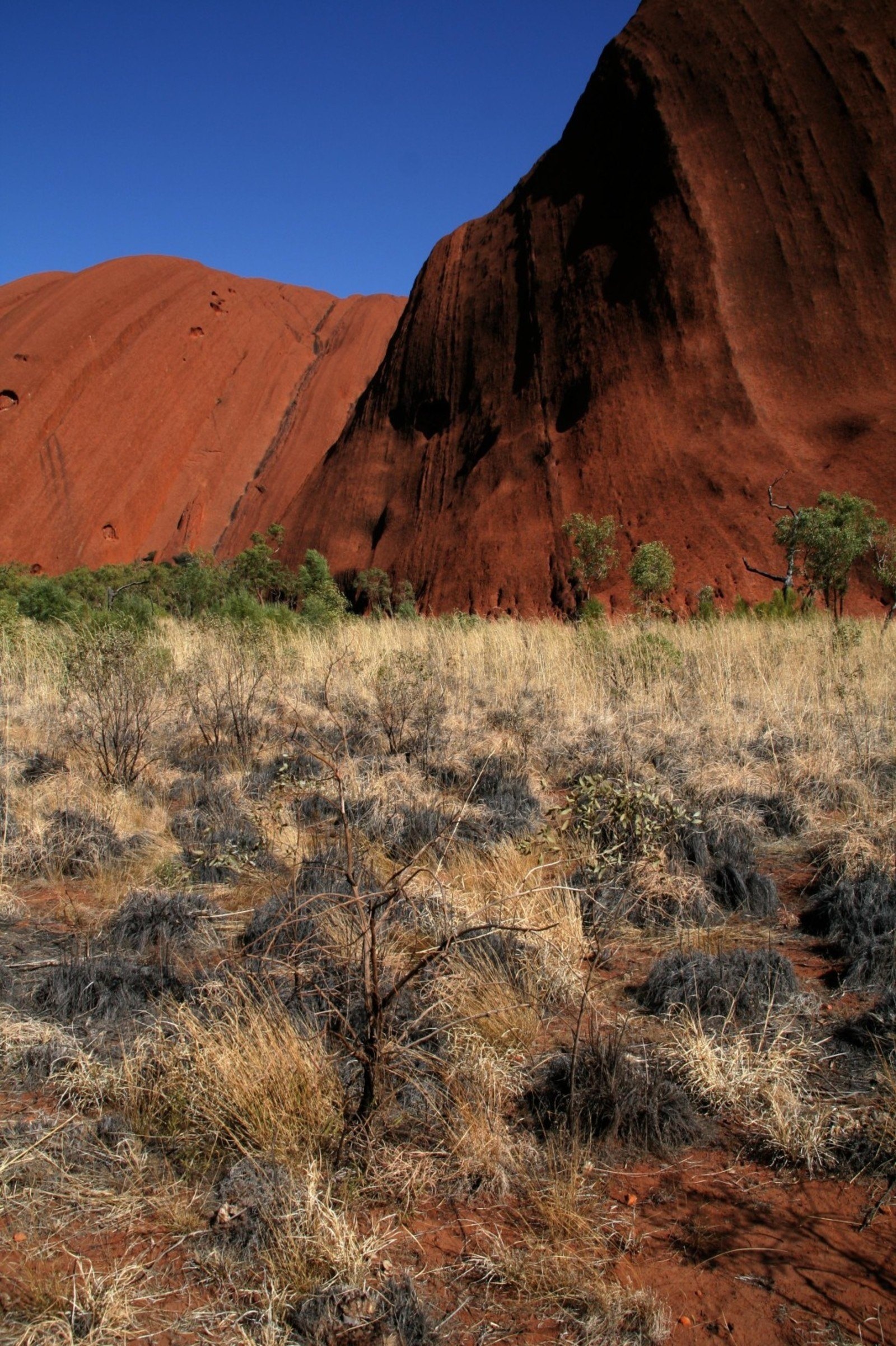 Uluru and Kata Tjuta, Ancient rock formations, Australian marvels, 1600x2410 HD Phone