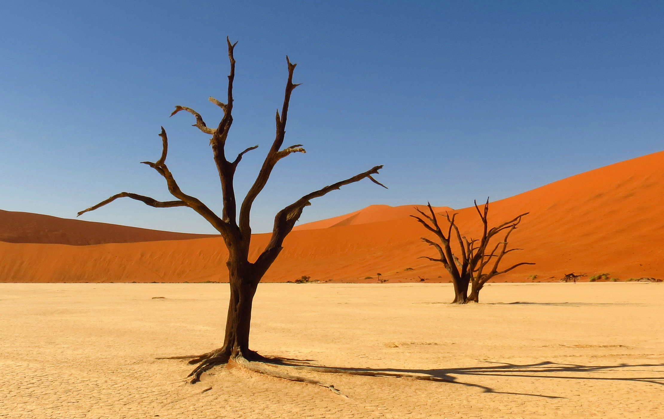 Kalahari Desert, Africa Destination, Micato Luxury Safaris, 2220x1400 HD Desktop
