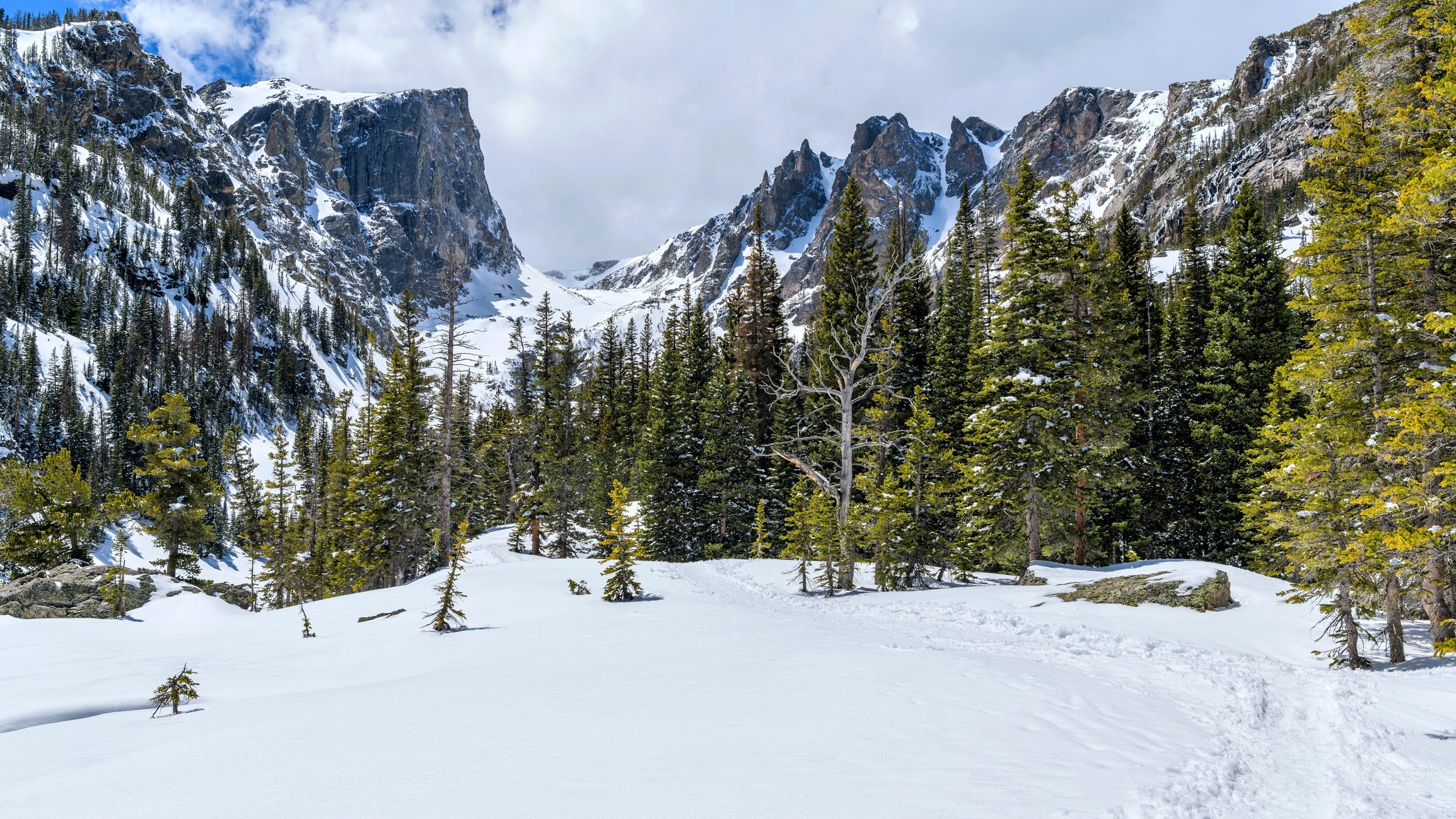 Rocky Mountain, Winter guide, National Park, Travel, 2310x1300 HD Desktop