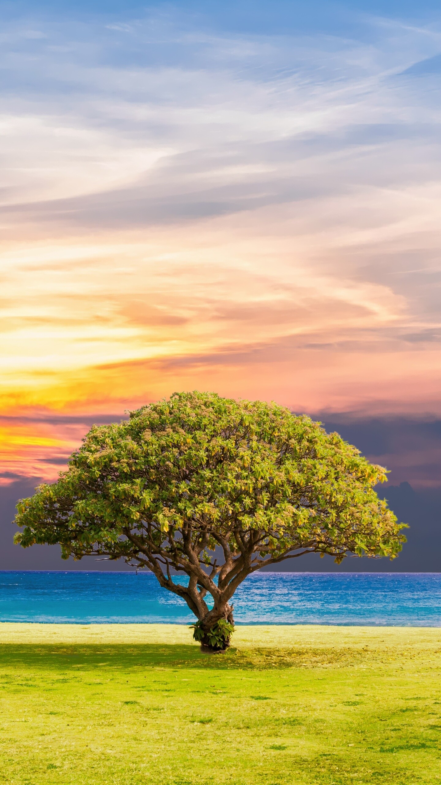 Ozeanlandschaft, Naturharmonie, Samsung Galaxy Hintergrund, Sommerklnge, 1440x2560 HD Handy