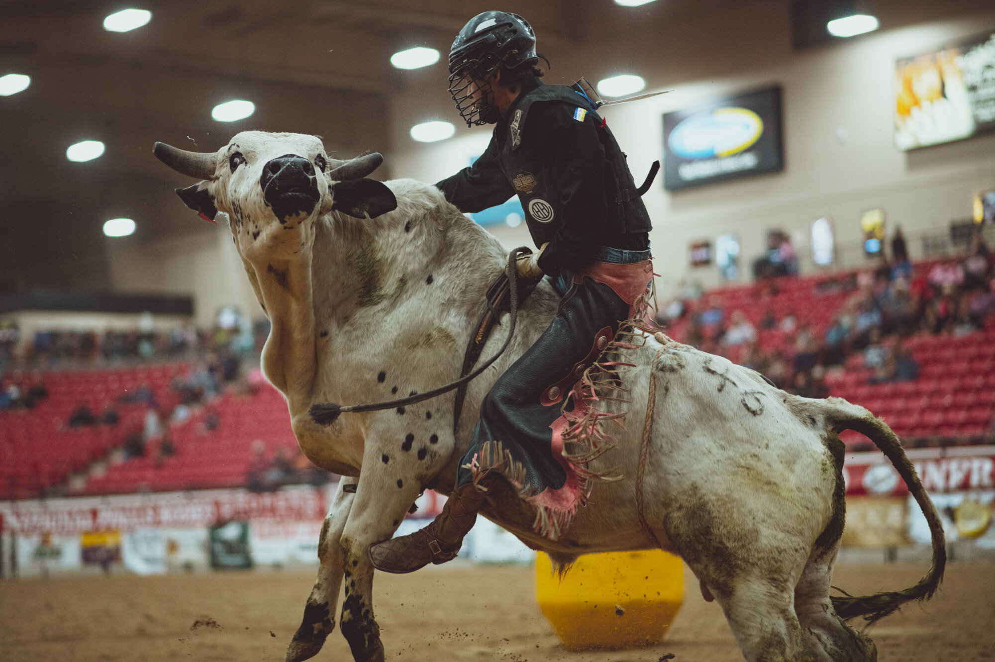 Bullriding: American Rodeo, Sports, A rodeo sport in which the rider tries to hold on to a bucking bull. 2000x1340 HD Wallpaper.
