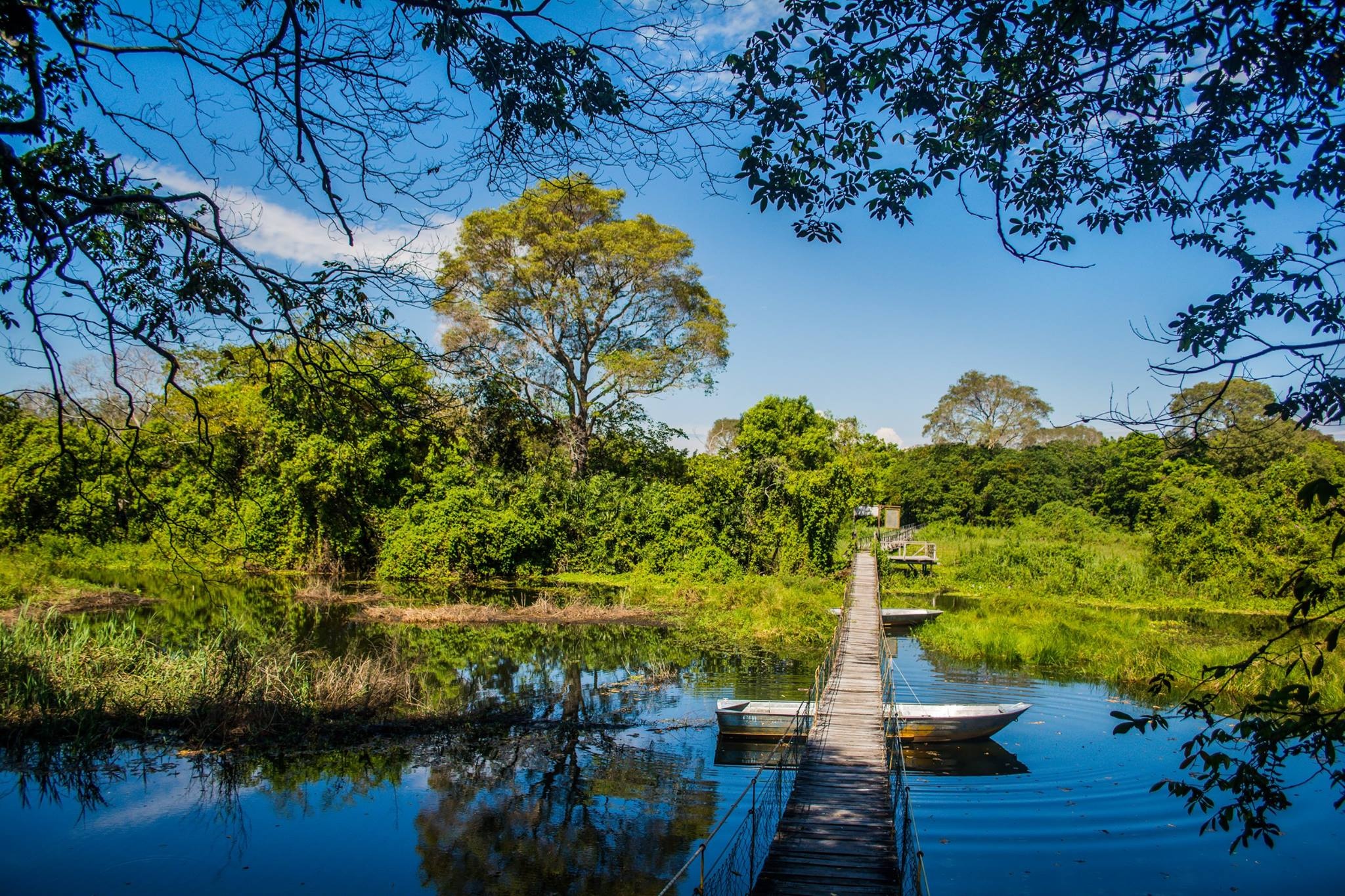 Pantanal Matogrossense, Informaes, Sul mato grosso, Informaes, 2050x1370 HD Desktop